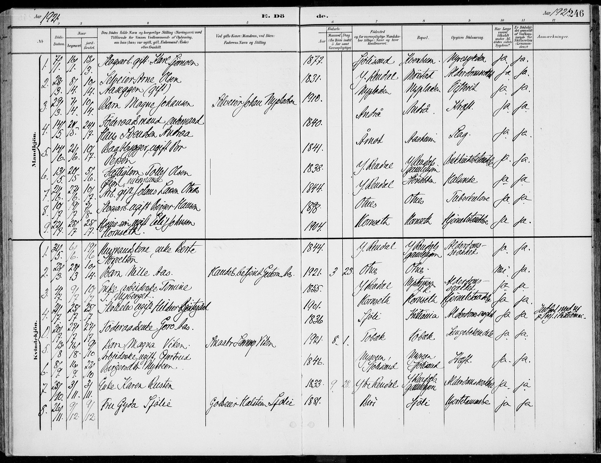 Rendalen prestekontor, SAH/PREST-054/H/Ha/Haa/L0011: Parish register (official) no. 11, 1901-1925, p. 246