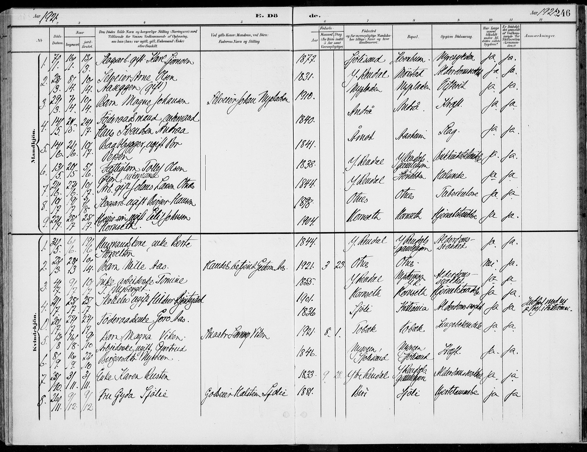 Rendalen prestekontor, AV/SAH-PREST-054/H/Ha/Haa/L0011: Parish register (official) no. 11, 1901-1925, p. 246