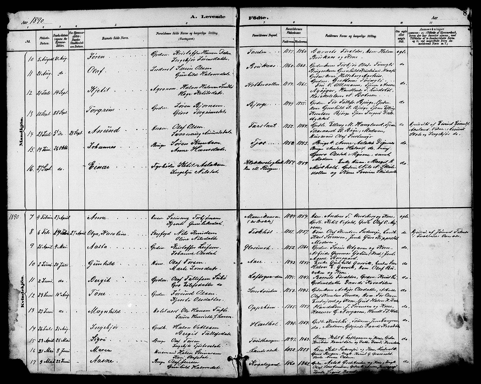 Seljord kirkebøker, SAKO/A-20/G/Ga/L0005: Parish register (copy) no. I 5, 1887-1914, p. 8
