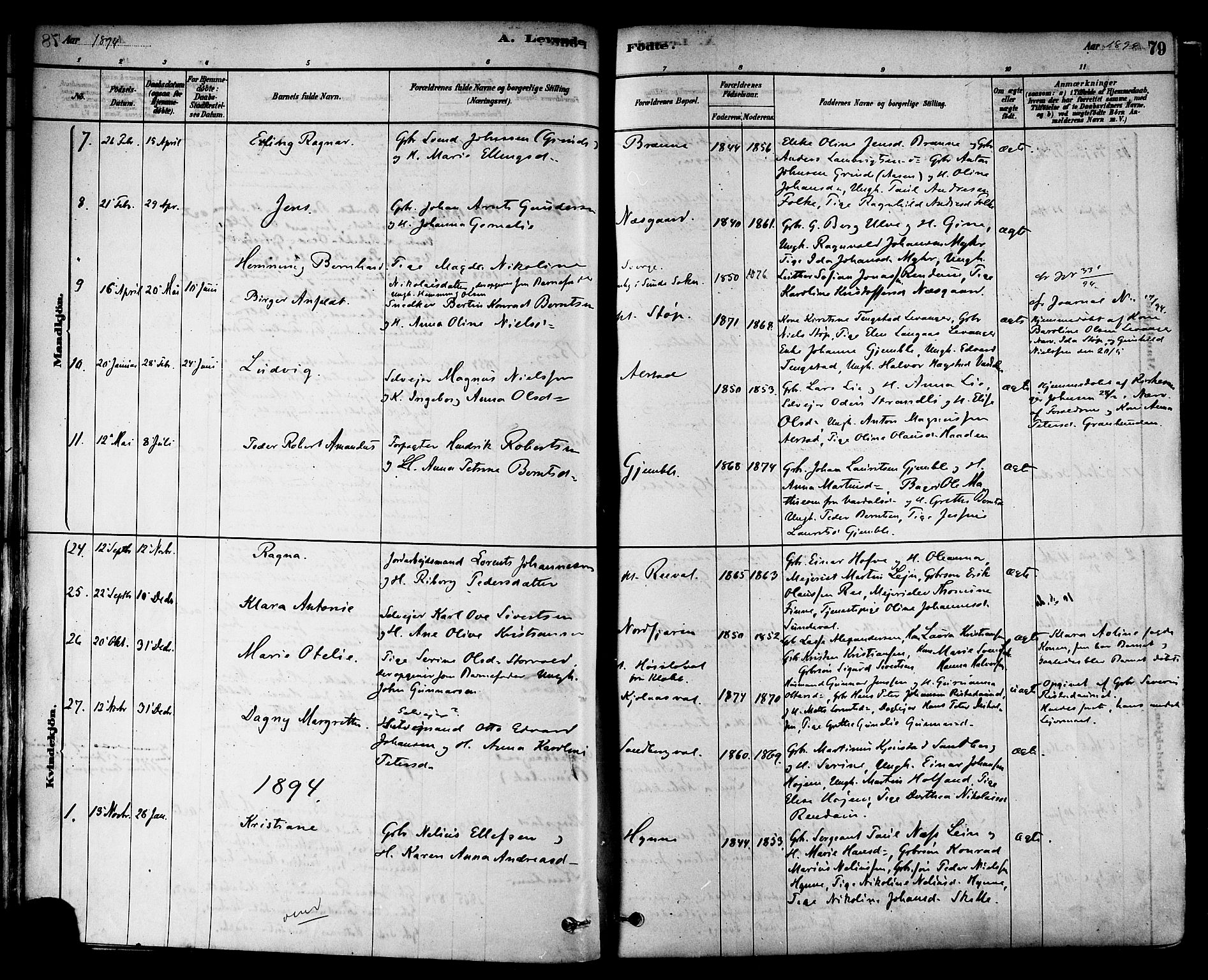 Ministerialprotokoller, klokkerbøker og fødselsregistre - Nord-Trøndelag, SAT/A-1458/717/L0159: Parish register (official) no. 717A09, 1878-1898, p. 79