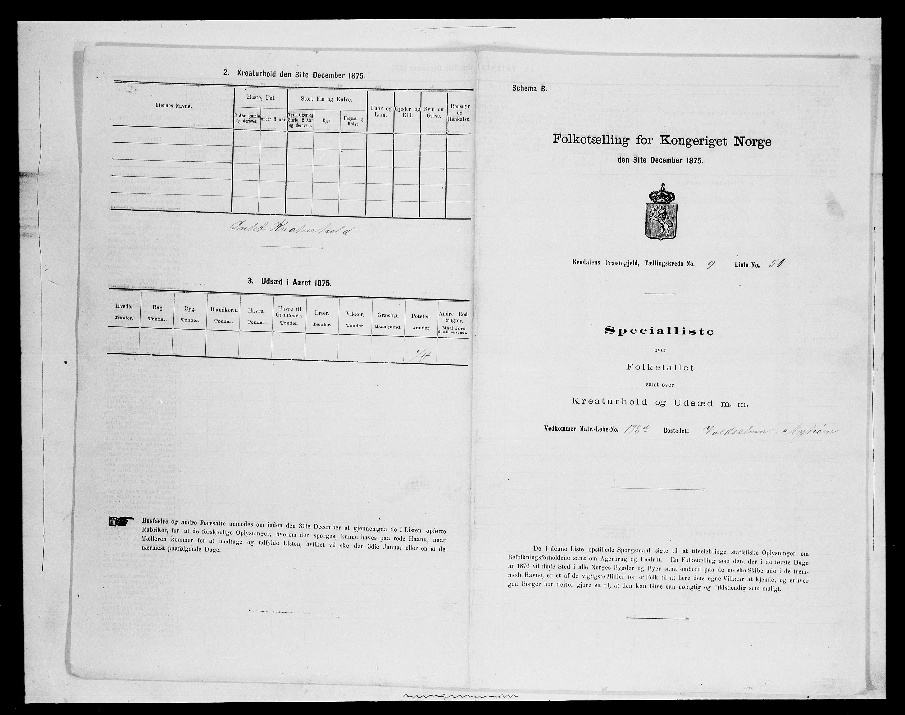 SAH, 1875 census for 0432P Rendalen, 1875, p. 916