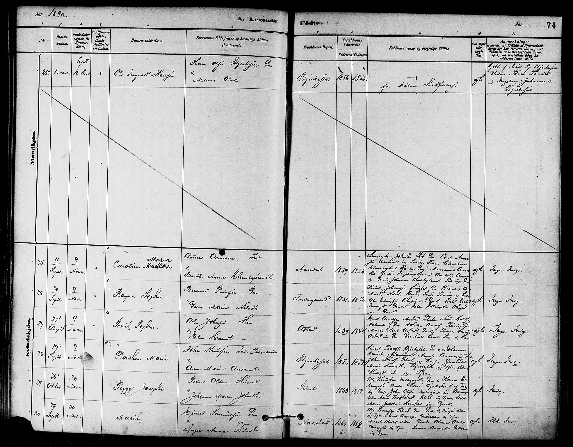 Ministerialprotokoller, klokkerbøker og fødselsregistre - Møre og Romsdal, AV/SAT-A-1454/584/L0967: Parish register (official) no. 584A07, 1879-1894, p. 74