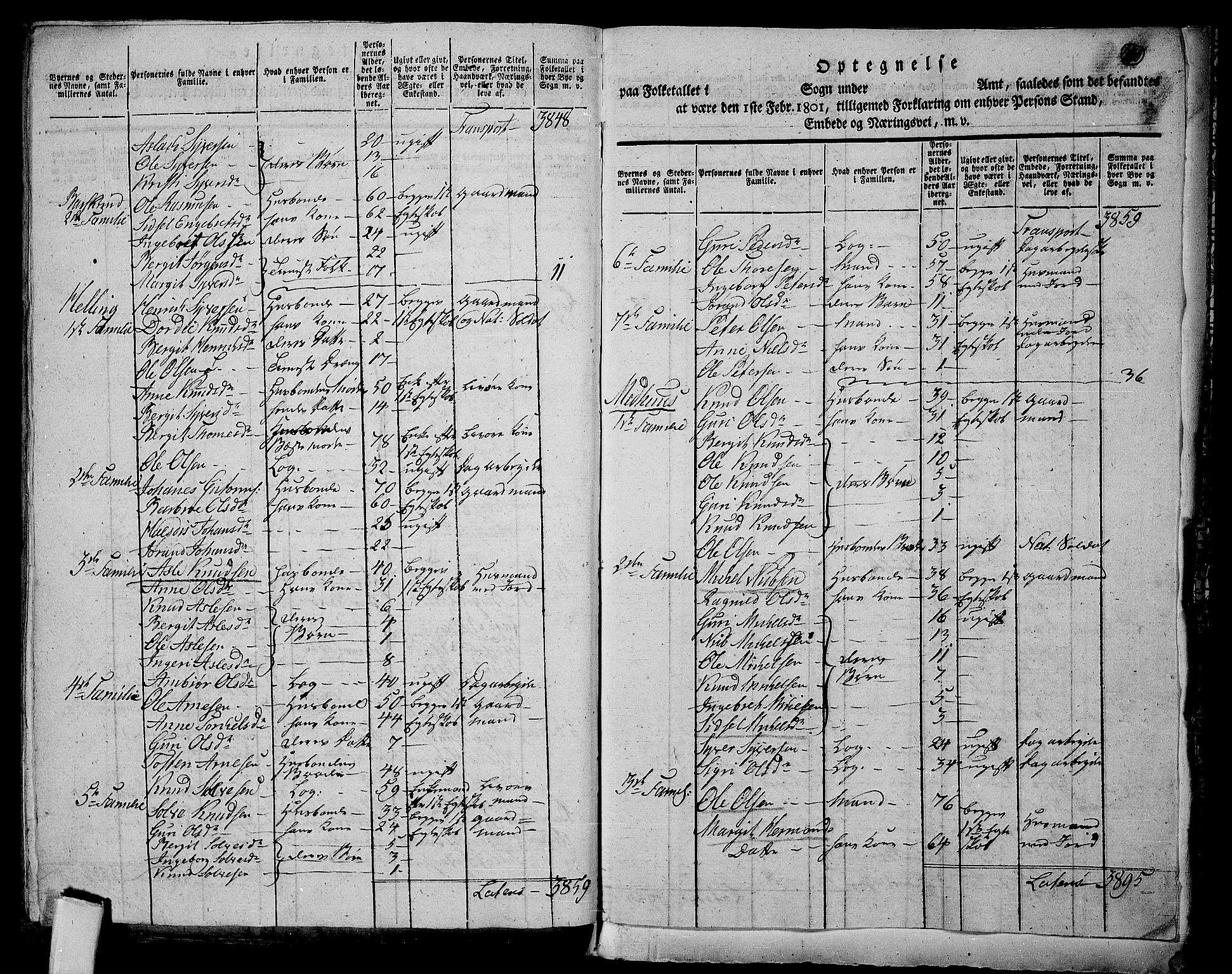 RA, 1801 census for 0619P Ål, 1801, p. 239b-240a