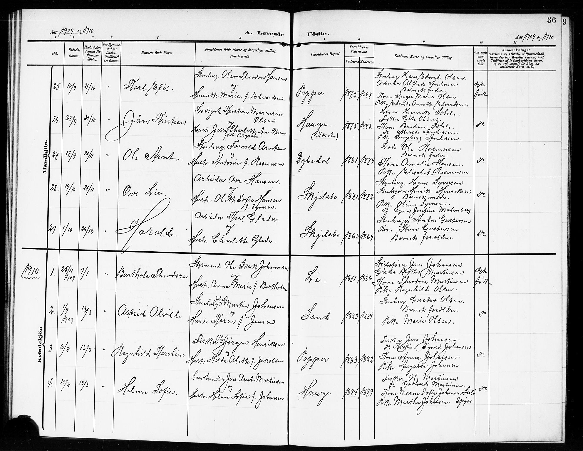 Hvaler prestekontor Kirkebøker, SAO/A-2001/G/Gb/L0003: Parish register (copy) no. II 3, 1904-1917, p. 36