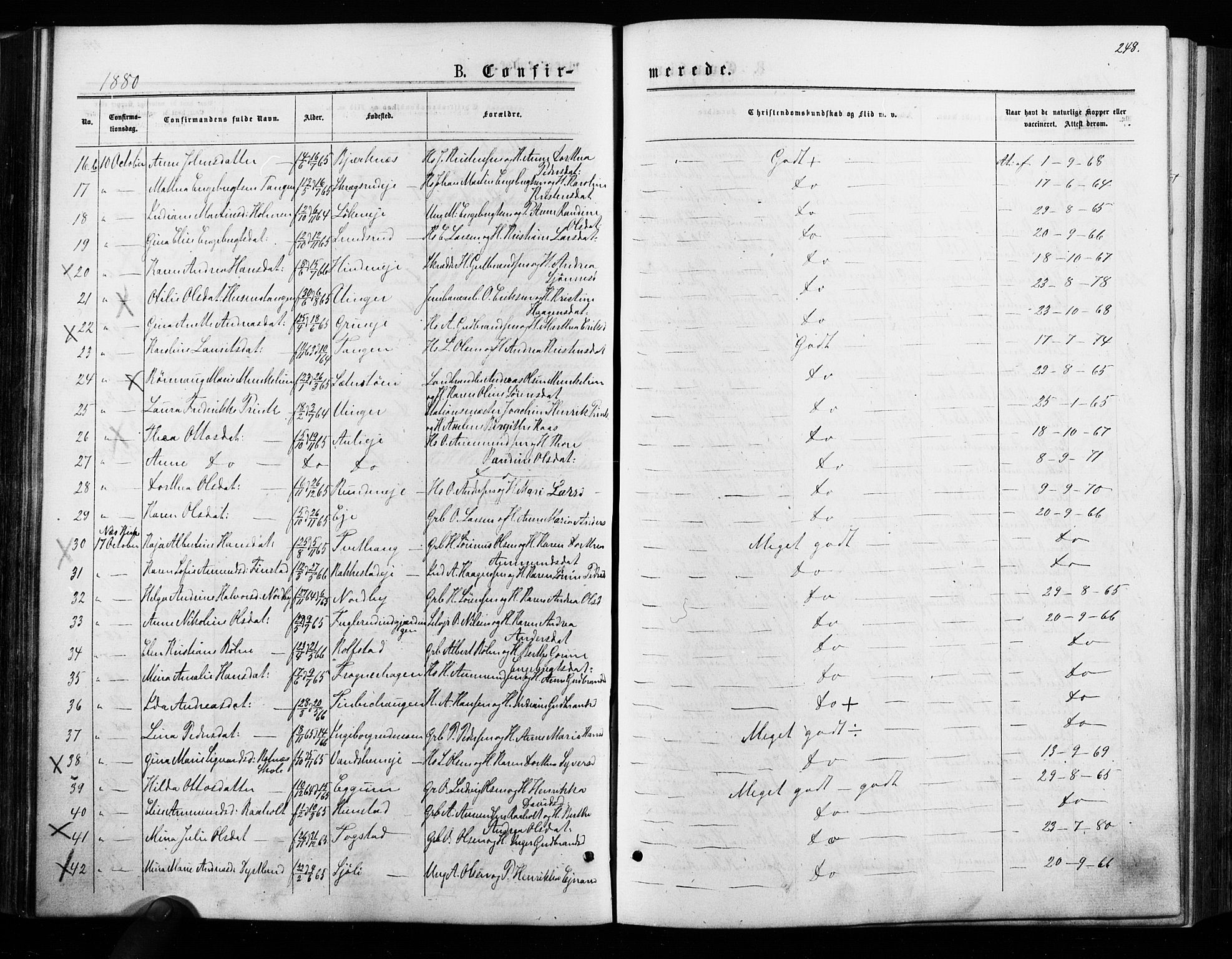 Nes prestekontor Kirkebøker, SAO/A-10410/F/Fa/L0009: Parish register (official) no. I 9, 1875-1882, p. 248