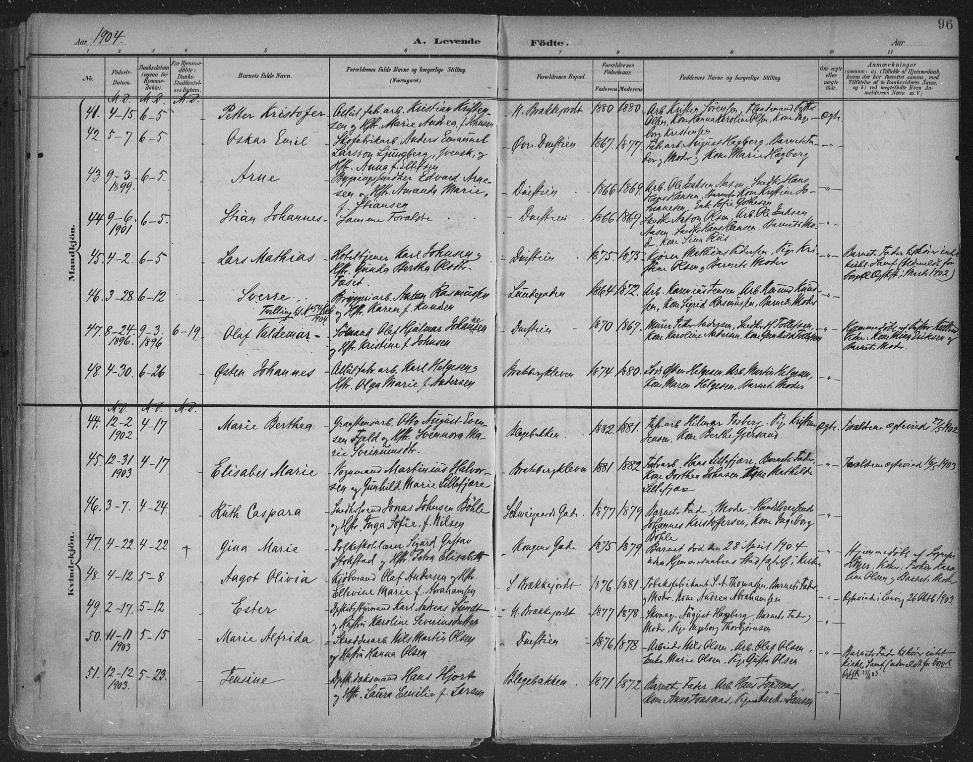 Skien kirkebøker, SAKO/A-302/F/Fa/L0011: Parish register (official) no. 11, 1900-1907, p. 96