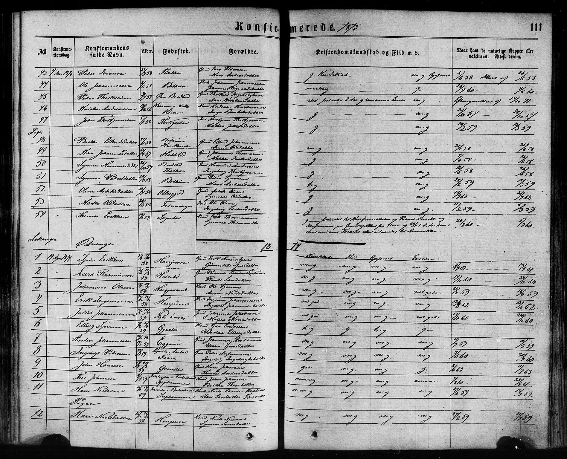 Leikanger sokneprestembete, SAB/A-81001: Parish register (official) no. A 9, 1869-1888, p. 111