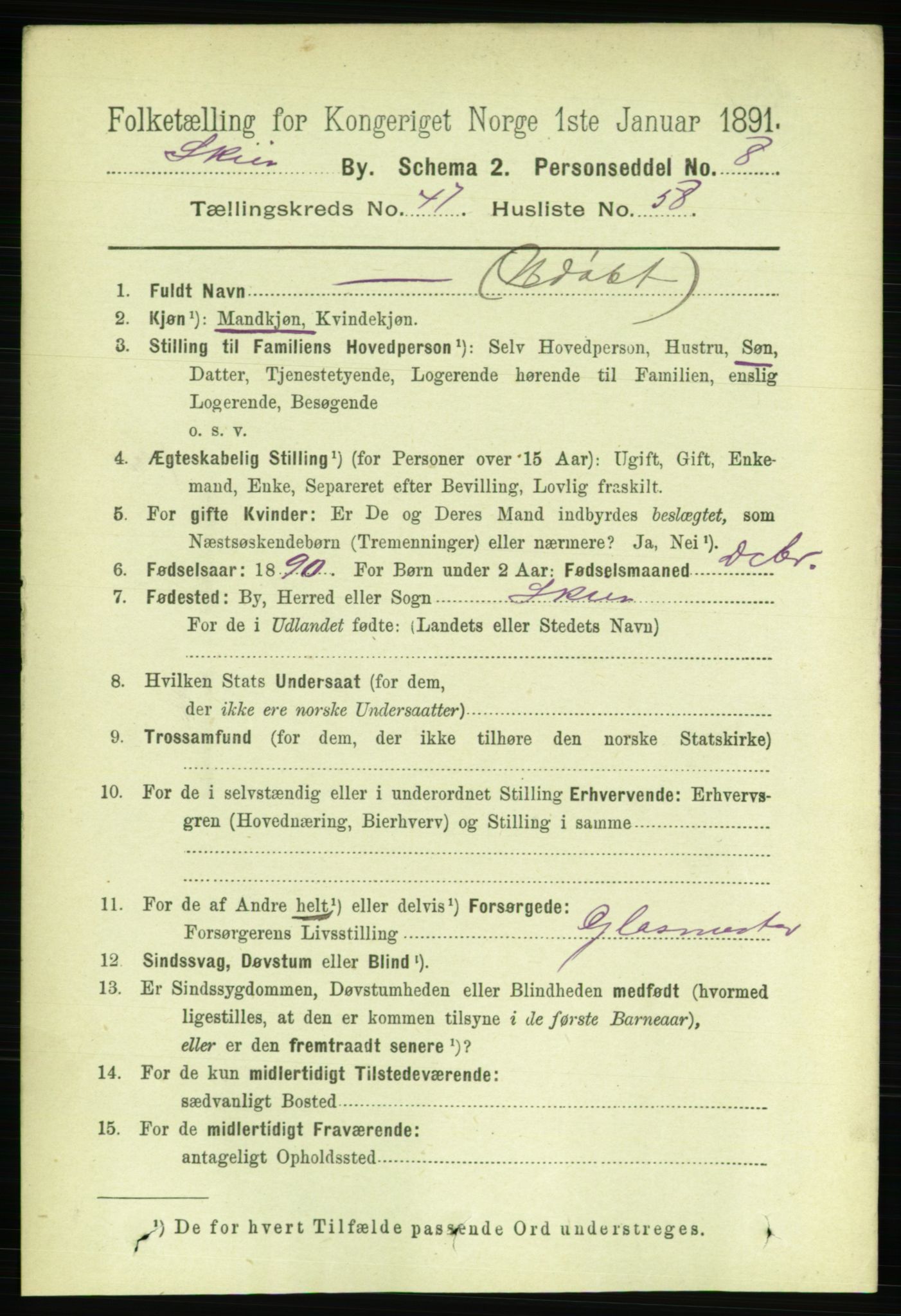 RA, 1891 census for 0806 Skien, 1891, p. 9764