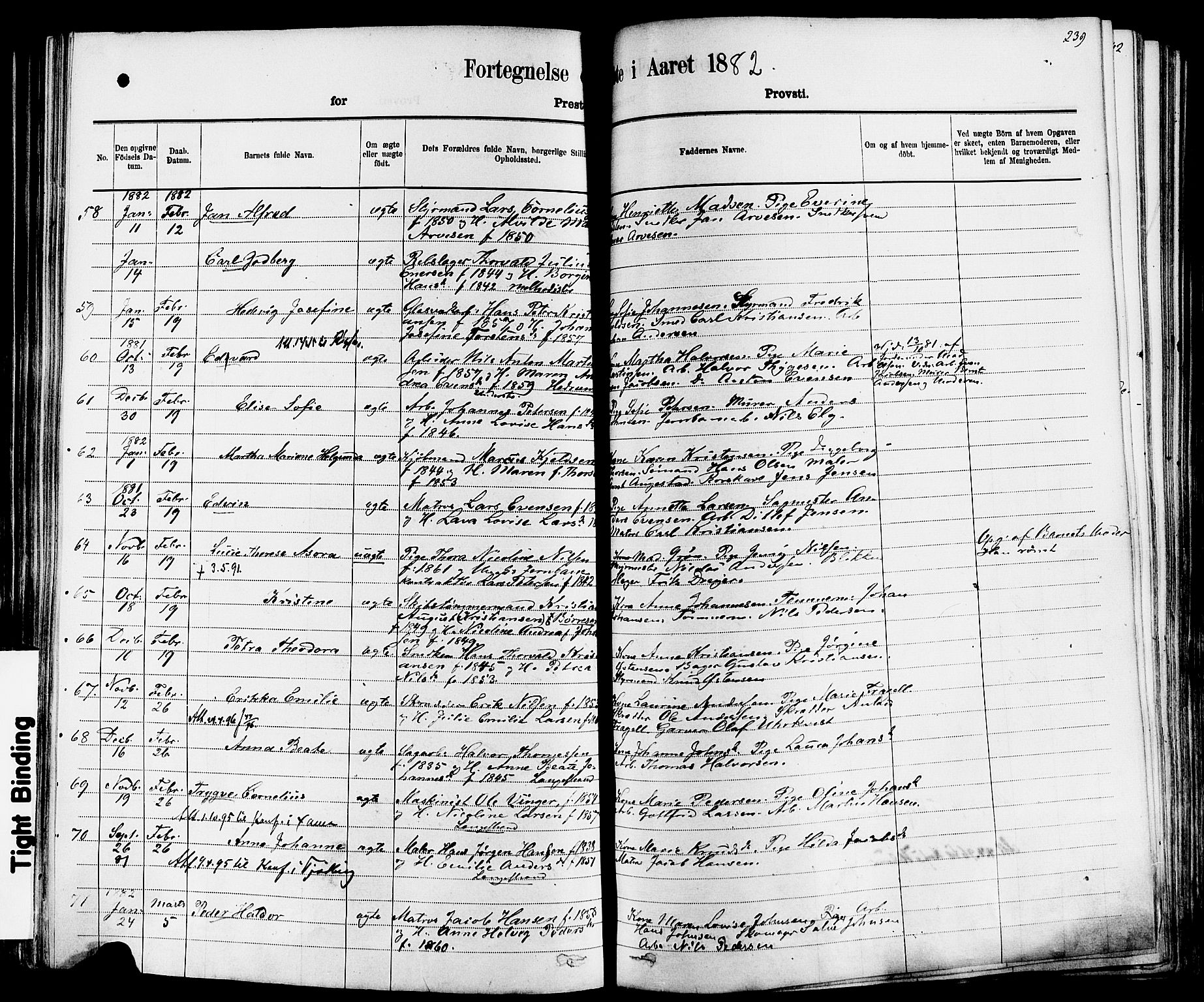 Larvik kirkebøker, AV/SAKO-A-352/F/Fa/L0006: Parish register (official) no. I 6, 1871-1883, p. 239