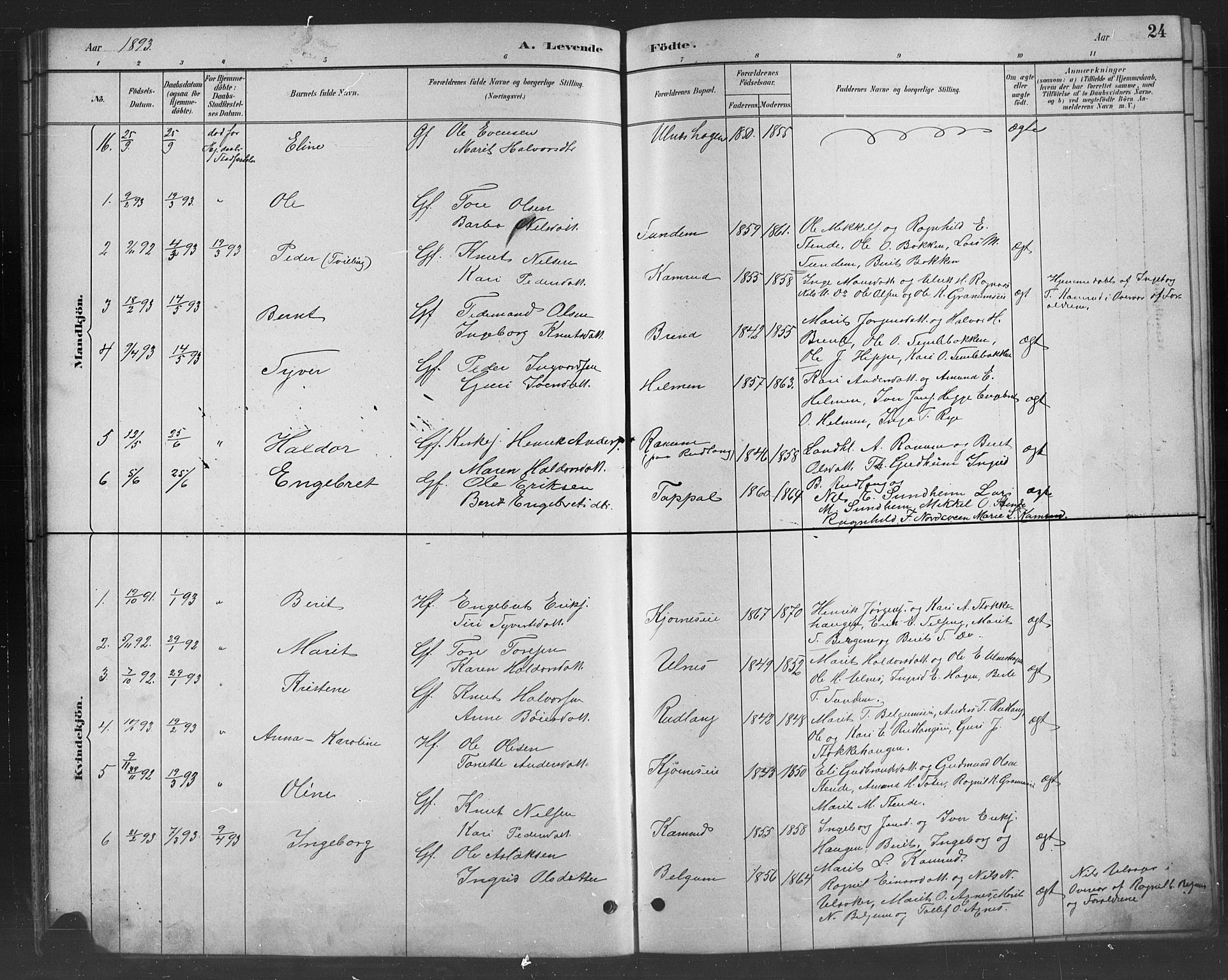Nord-Aurdal prestekontor, SAH/PREST-132/H/Ha/Hab/L0008: Parish register (copy) no. 8, 1883-1916, p. 24