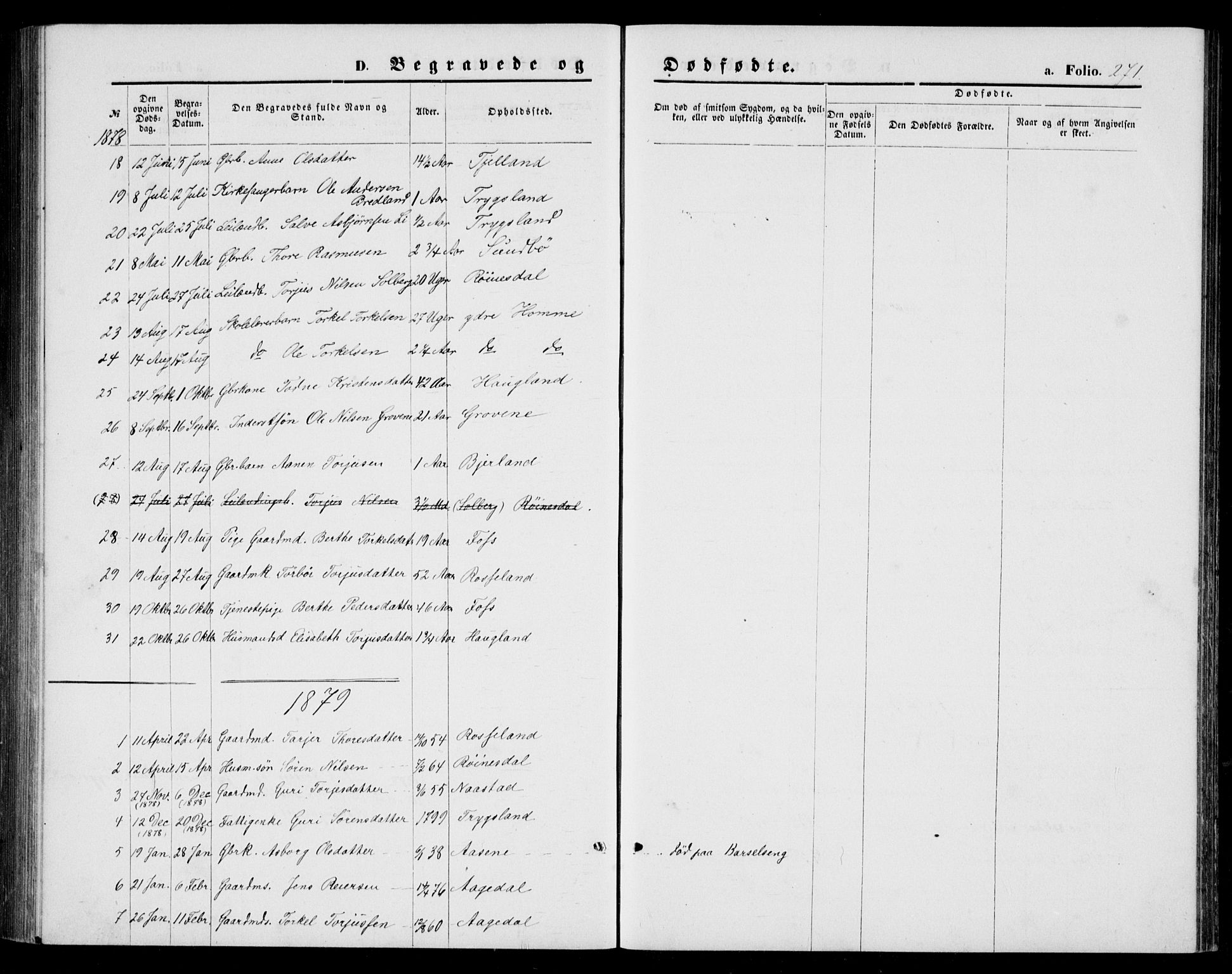 Bjelland sokneprestkontor, AV/SAK-1111-0005/F/Fb/Fba/L0004: Parish register (copy) no. B 4, 1869-1886, p. 271