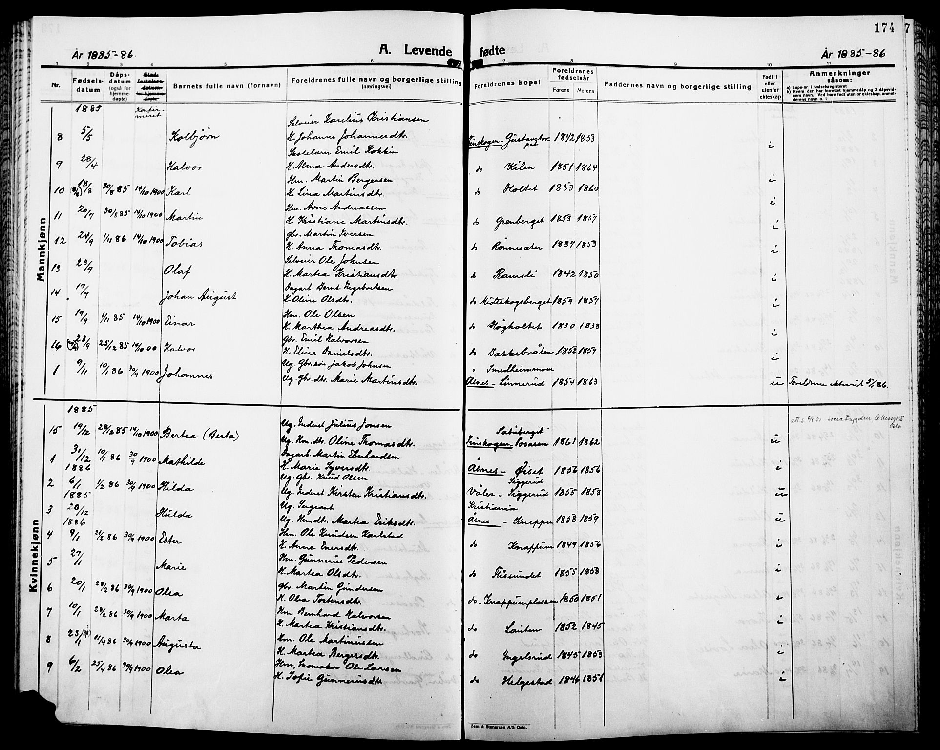 Åsnes prestekontor, AV/SAH-PREST-042/H/Ha/Haa/L0000B: Parish register (official), 1870-1889, p. 174