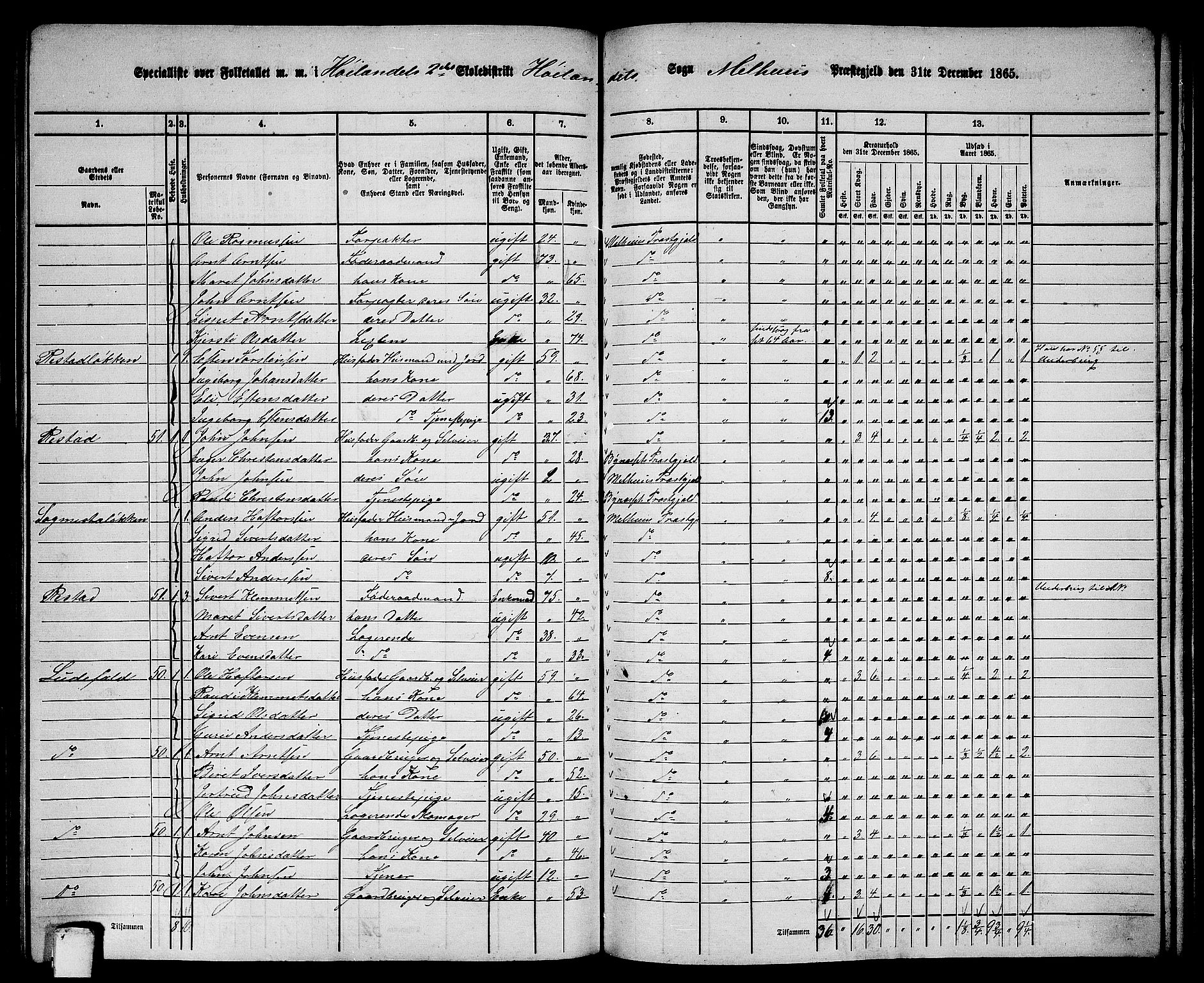 RA, 1865 census for Melhus, 1865, p. 184