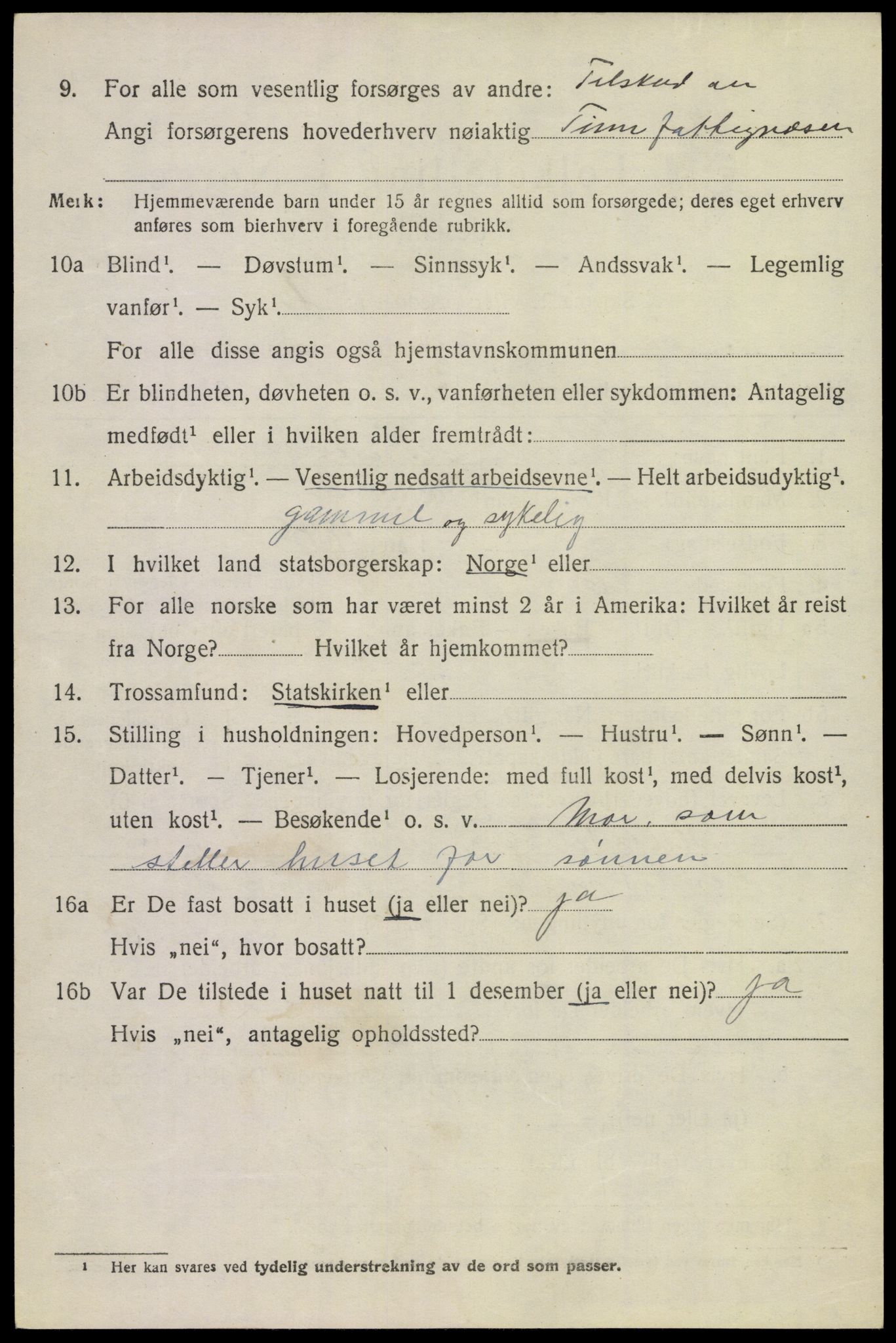 SAKO, 1920 census for Tinn, 1920, p. 5089