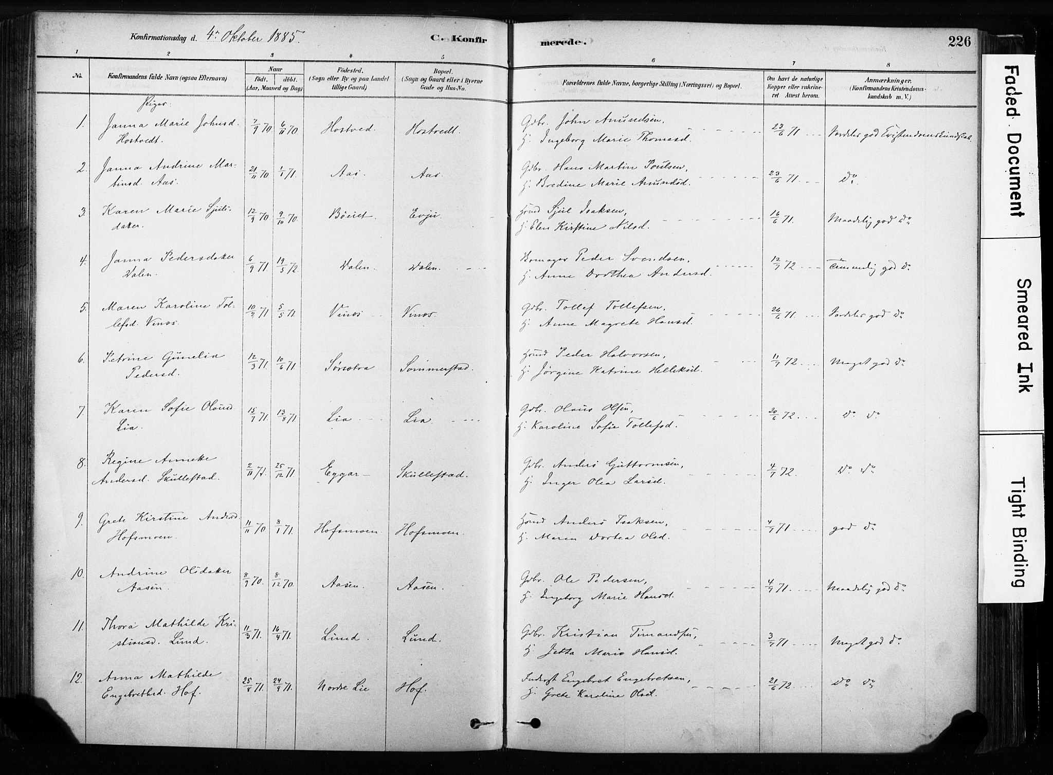 Sandsvær kirkebøker, SAKO/A-244/F/Fb/L0001: Parish register (official) no. II 1, 1878-1906, p. 226