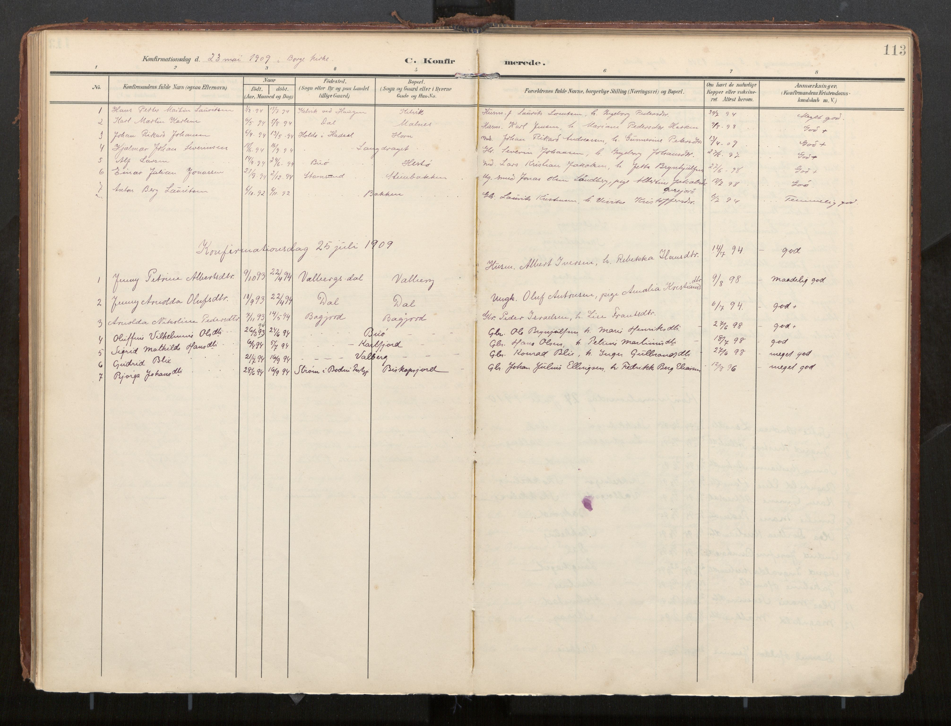 Ministerialprotokoller, klokkerbøker og fødselsregistre - Nordland, AV/SAT-A-1459/884/L1194: Parish register (official) no. 884A02, 1906-1937, p. 113