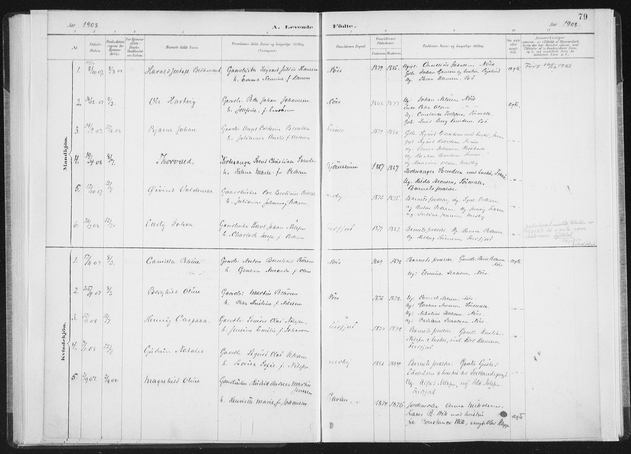 Ministerialprotokoller, klokkerbøker og fødselsregistre - Nordland, SAT/A-1459/898/L1422: Parish register (official) no. 898A02, 1887-1908, p. 79