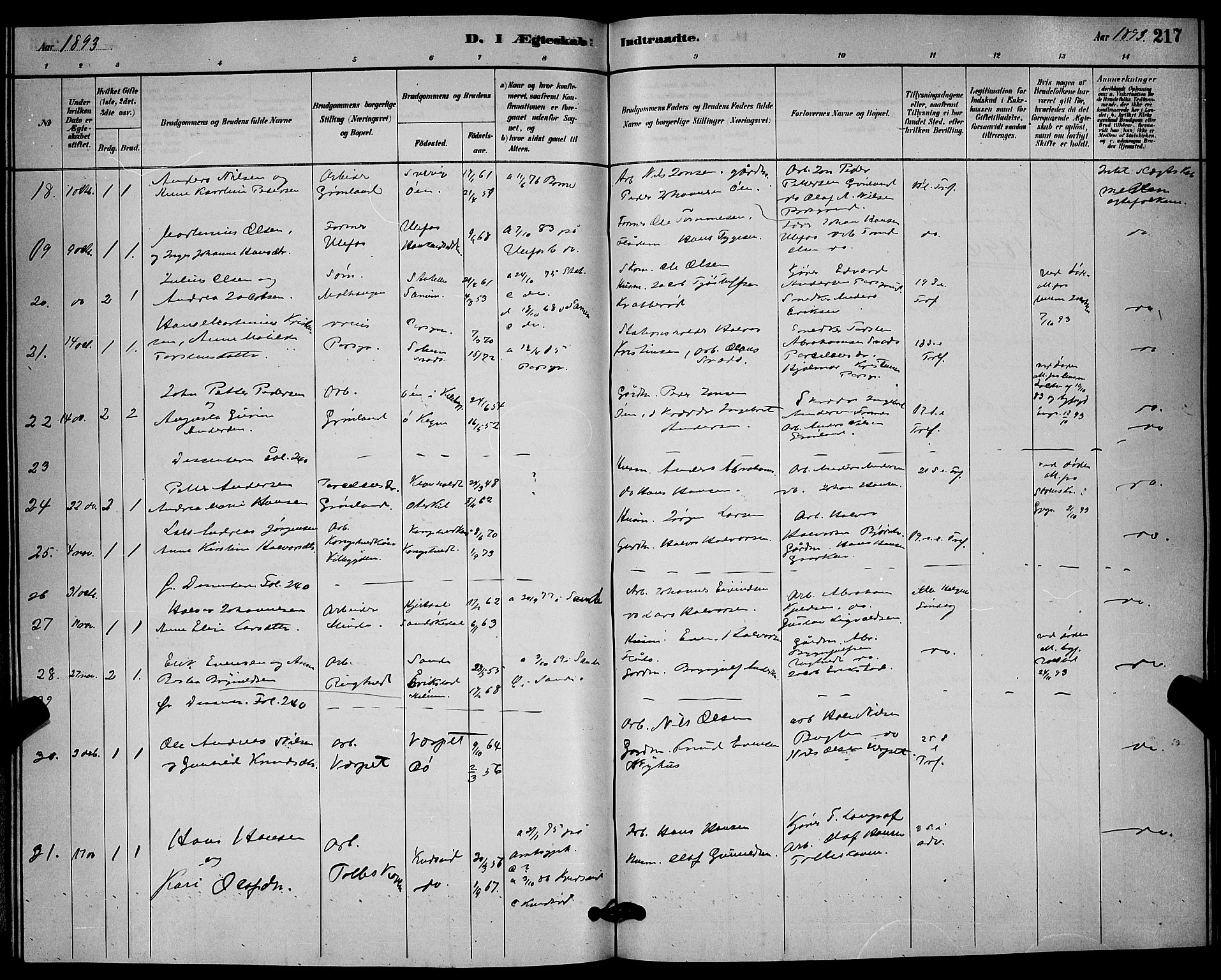 Solum kirkebøker, SAKO/A-306/G/Ga/L0007: Parish register (copy) no. I 7, 1884-1898, p. 217