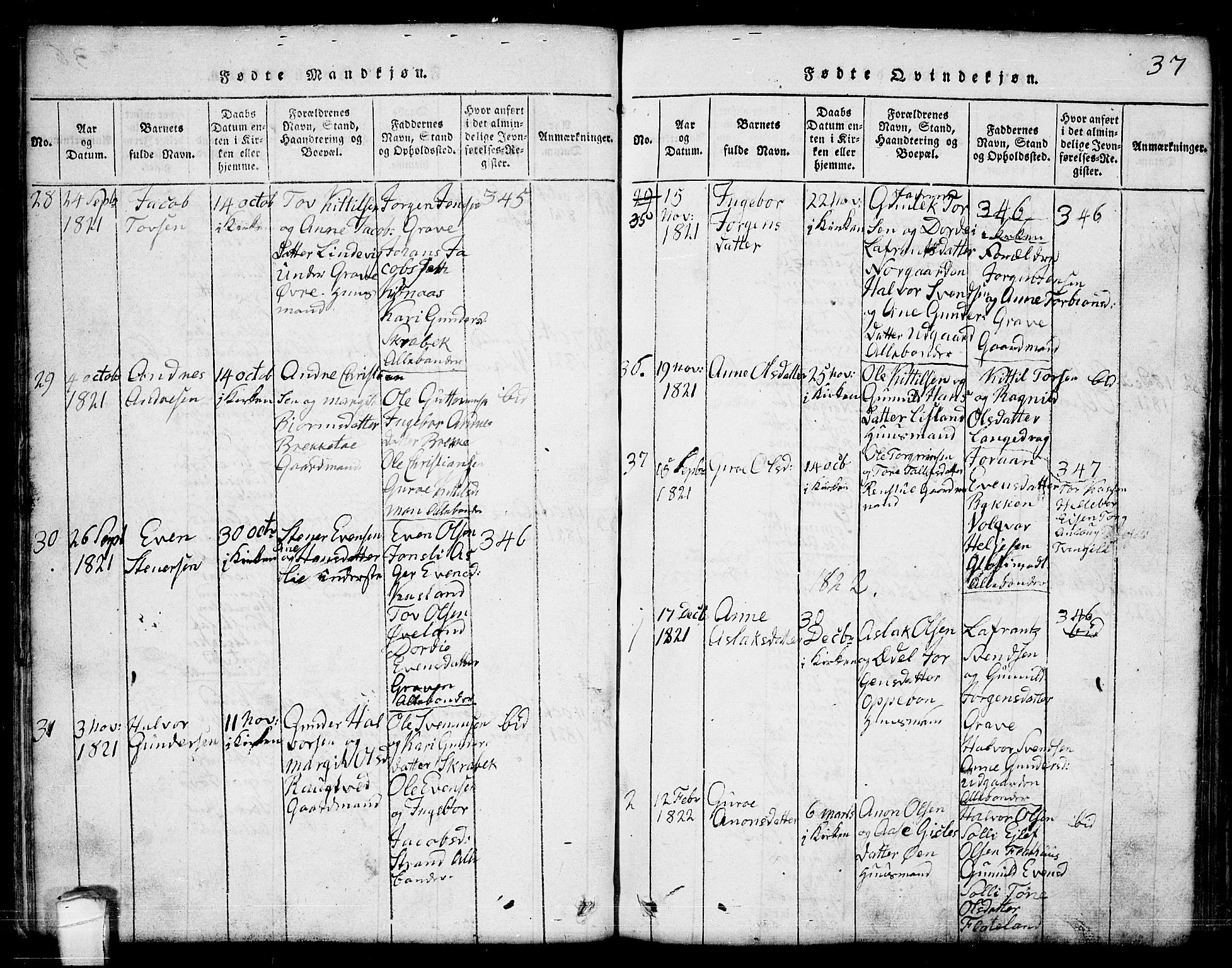 Seljord kirkebøker, SAKO/A-20/G/Ga/L0001: Parish register (copy) no. I 1, 1815-1854, p. 37