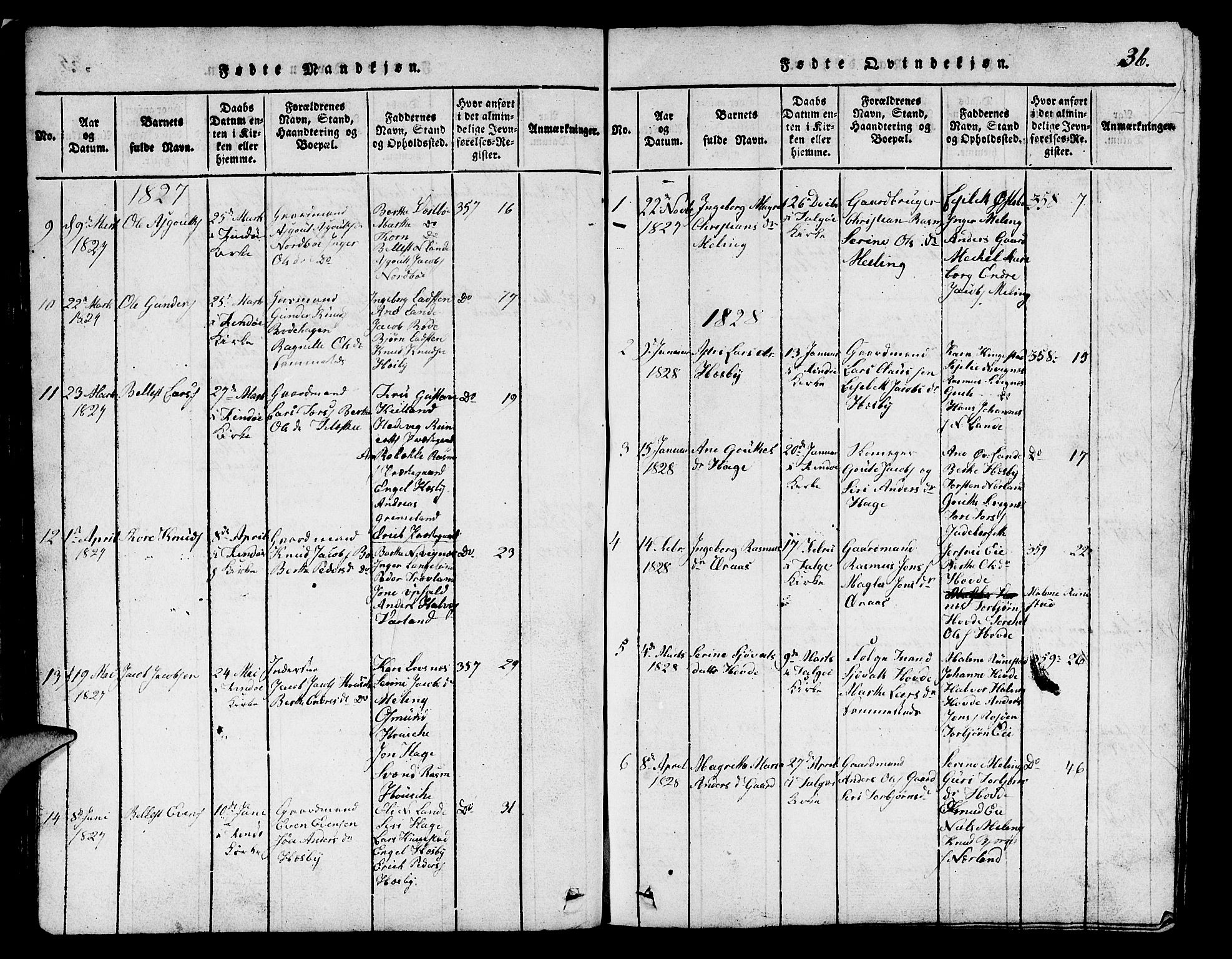 Finnøy sokneprestkontor, SAST/A-101825/H/Ha/Hab/L0001: Parish register (copy) no. B 1, 1816-1856, p. 36