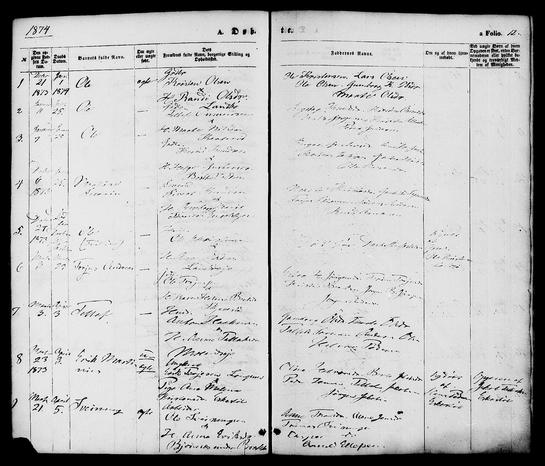 Austre Moland sokneprestkontor, SAK/1111-0001/F/Fa/Faa/L0009: Parish register (official) no. A 9, 1869-1879, p. 12