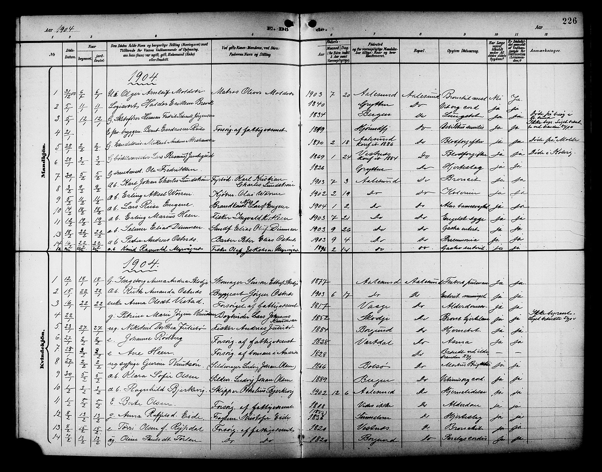 Ministerialprotokoller, klokkerbøker og fødselsregistre - Møre og Romsdal, AV/SAT-A-1454/529/L0469: Parish register (copy) no. 529C06, 1898-1906, p. 226