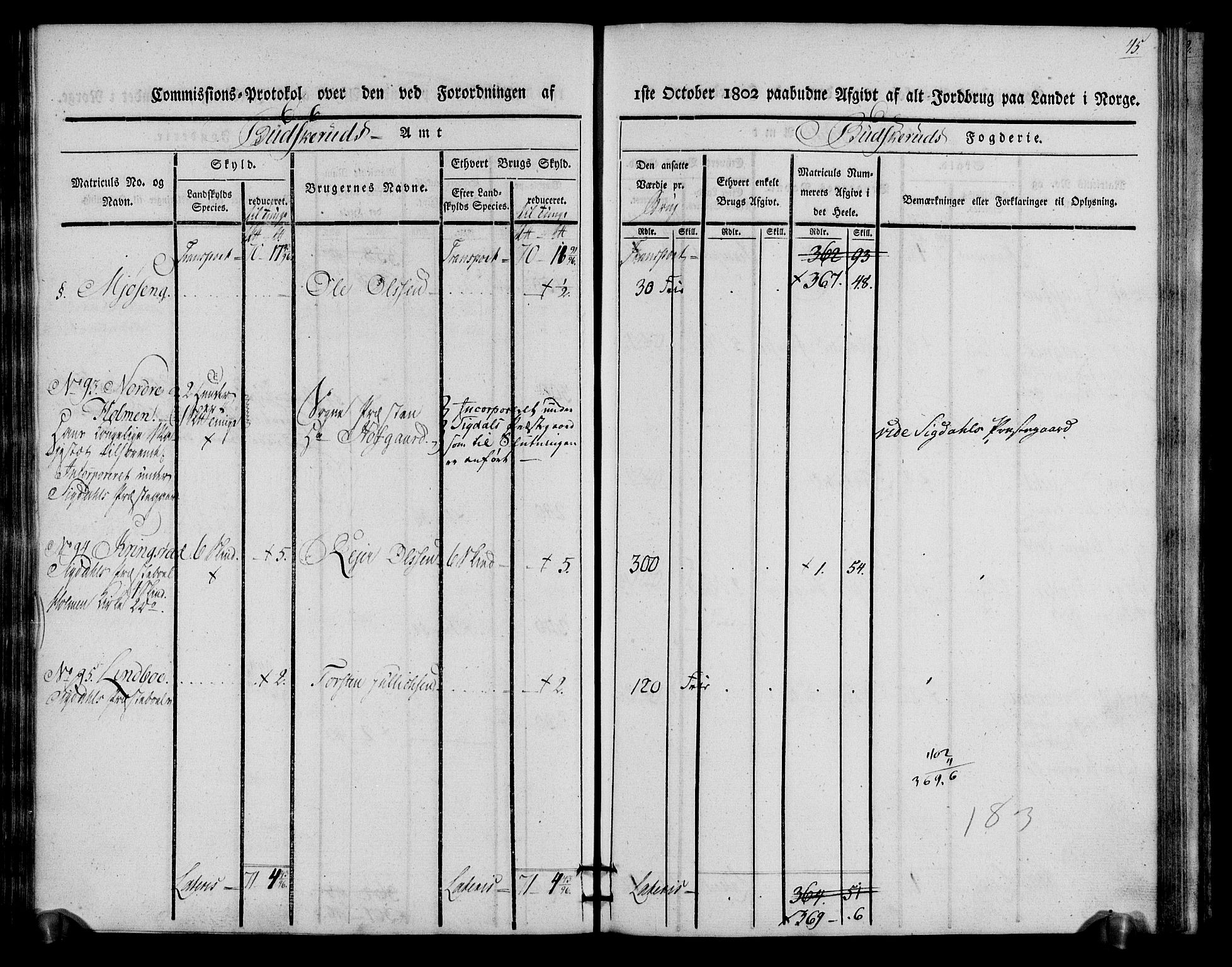 Rentekammeret inntil 1814, Realistisk ordnet avdeling, AV/RA-EA-4070/N/Ne/Nea/L0060: Buskerud fogderi. Kommisjonsprotokoll for Sigdal prestegjeld, 1803, p. 45