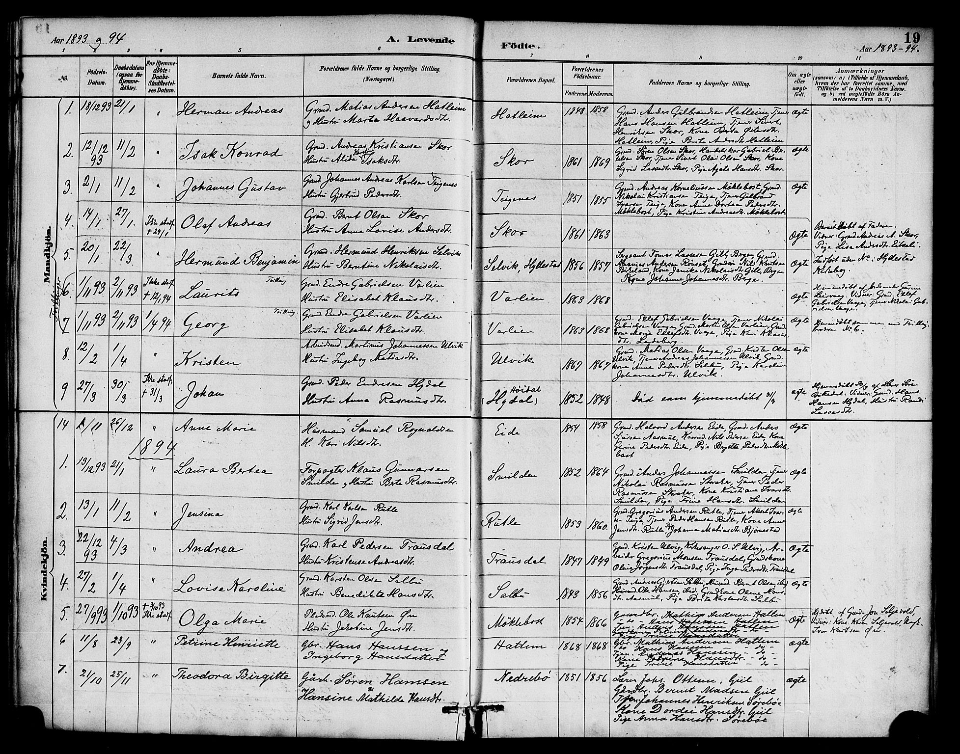 Hyllestad sokneprestembete, SAB/A-80401: Parish register (official) no. D 1, 1886-1905, p. 19
