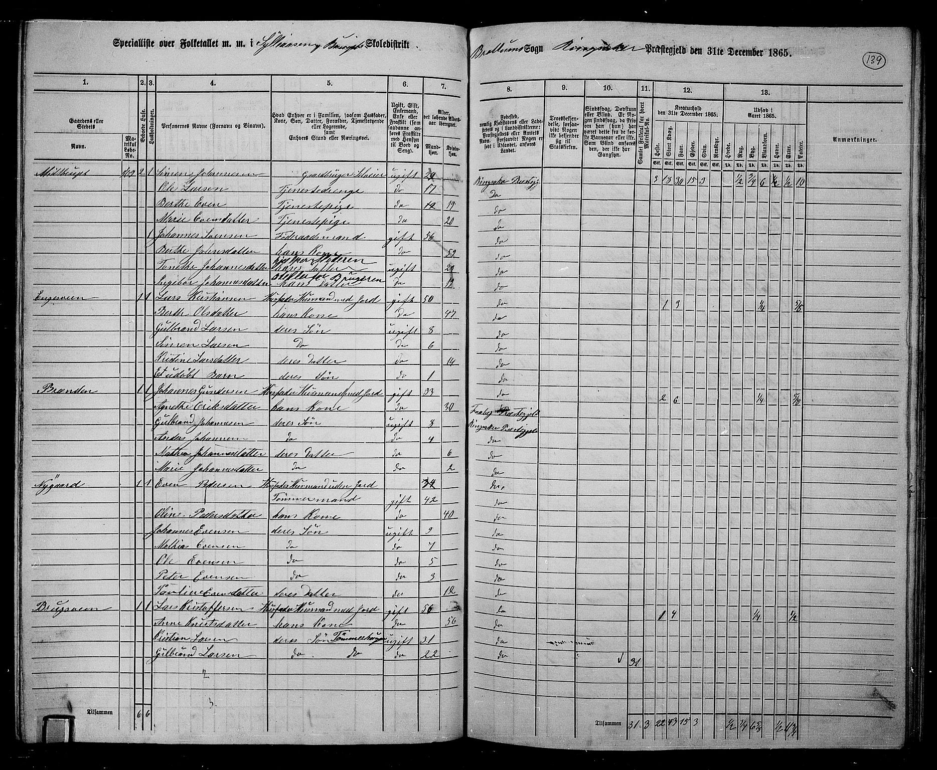 RA, 1865 census for Ringsaker, 1865, p. 382