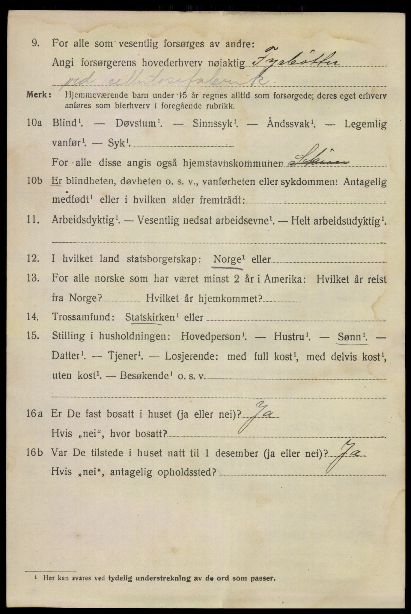 SAKO, 1920 census for Skien, 1920, p. 21803