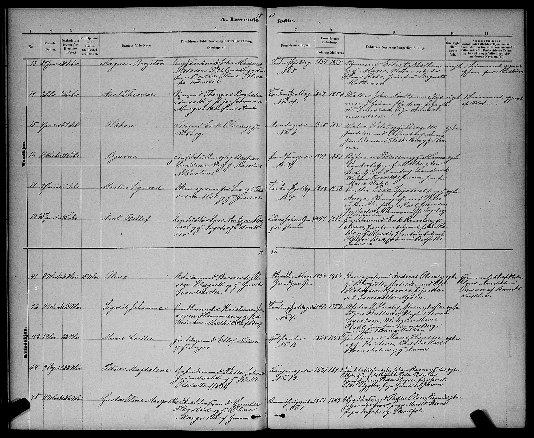 Ministerialprotokoller, klokkerbøker og fødselsregistre - Sør-Trøndelag, AV/SAT-A-1456/601/L0091: Parish register (copy) no. 601C09, 1878-1883