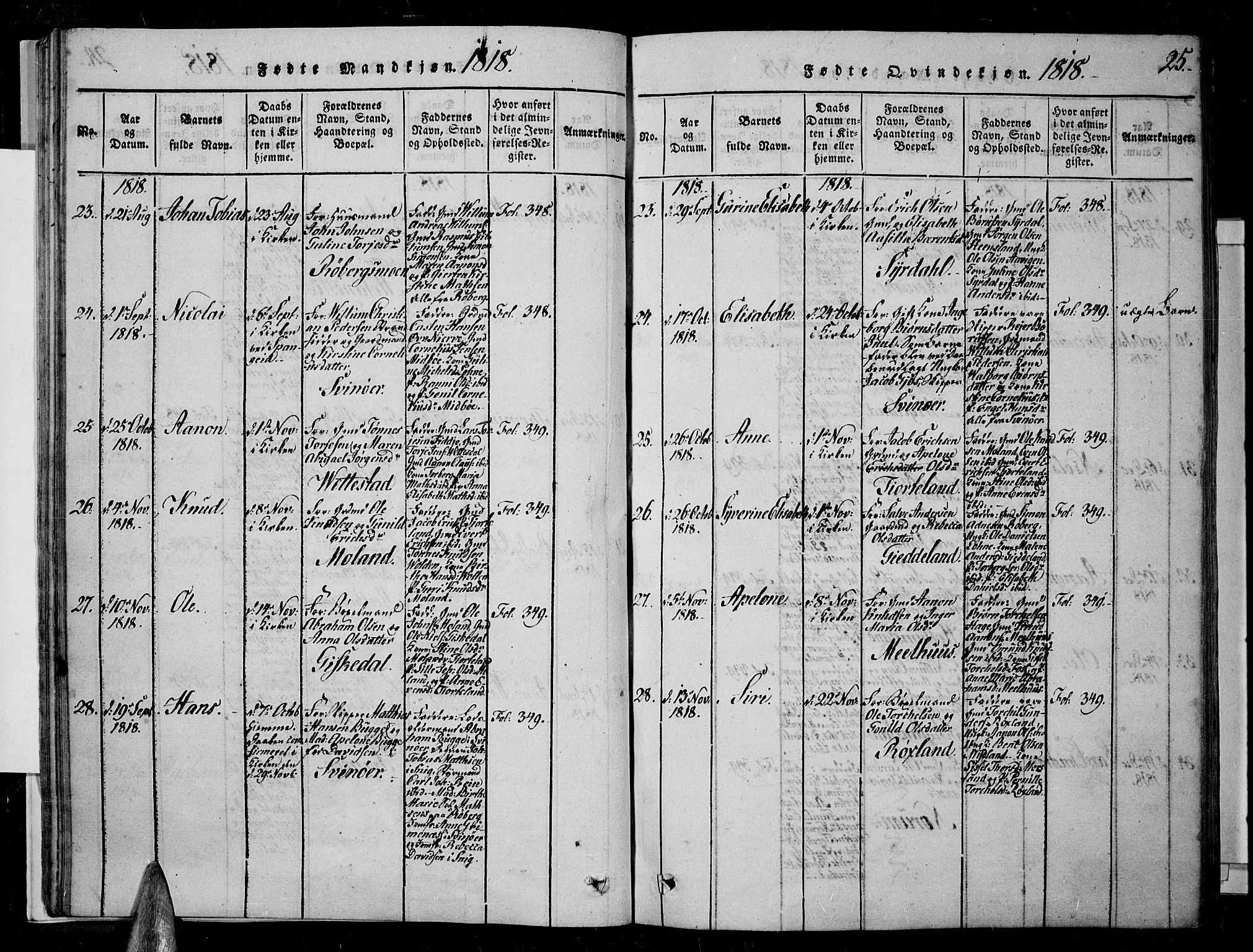 Sør-Audnedal sokneprestkontor, AV/SAK-1111-0039/F/Fa/Fab/L0005: Parish register (official) no. A 5, 1816-1830, p. 25