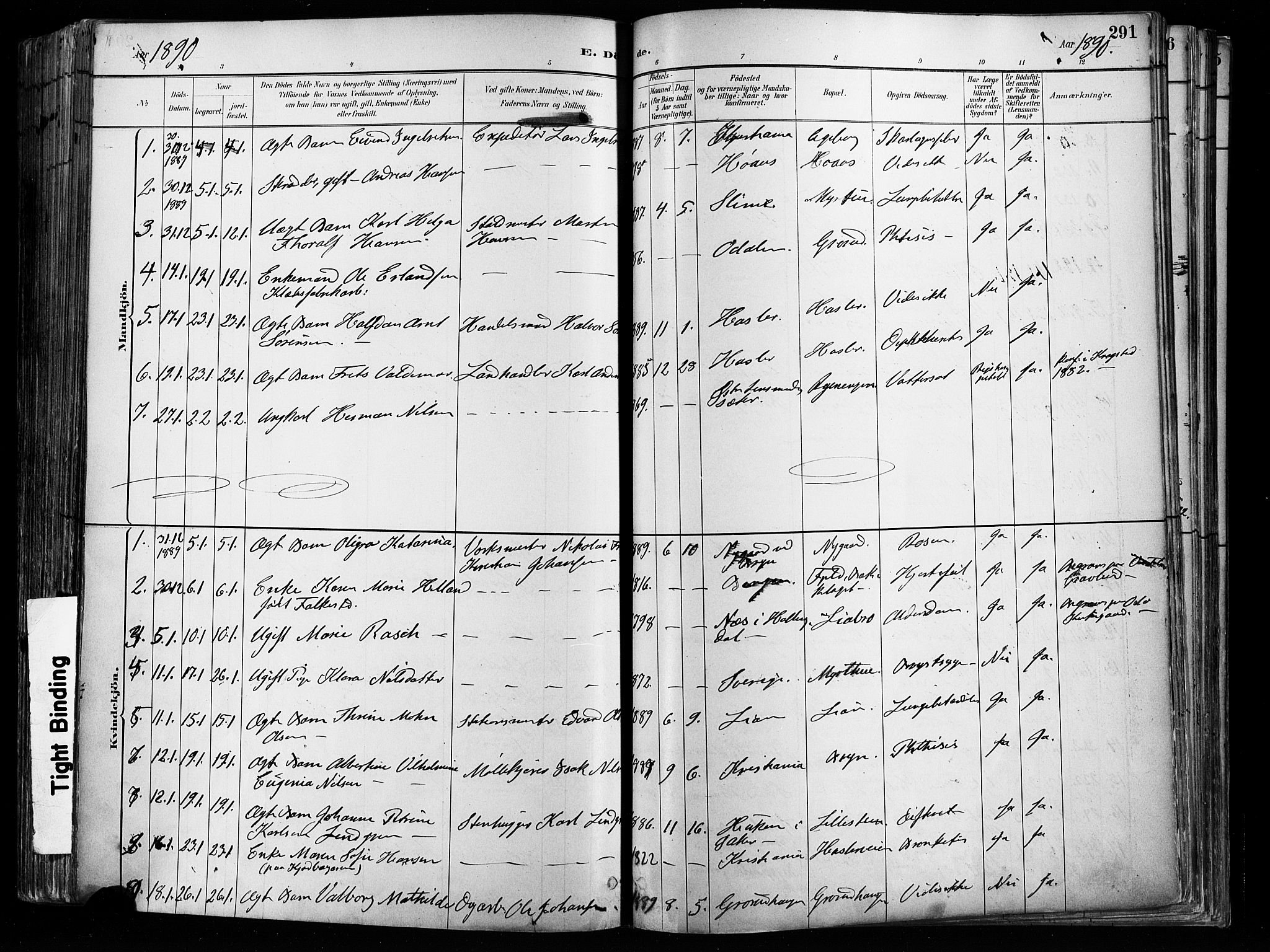 Østre Aker prestekontor Kirkebøker, SAO/A-10840/F/Fa/L0008: Parish register (official) no. I 8, 1883-1894, p. 291