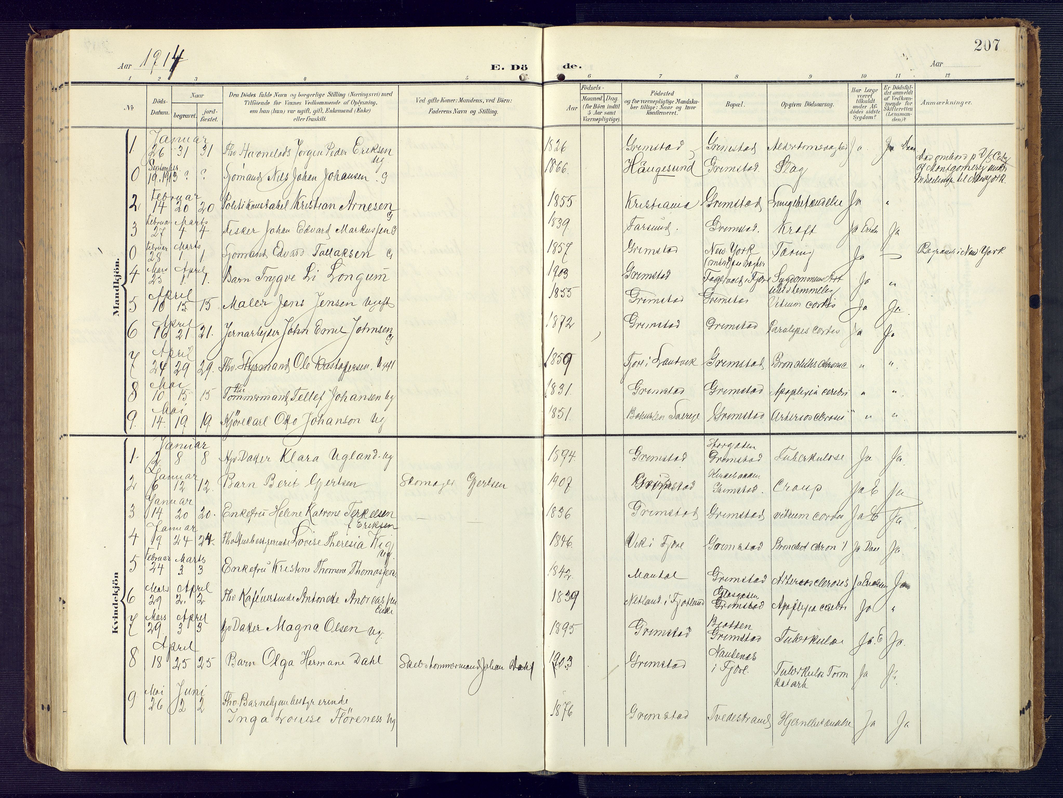Grimstad sokneprestkontor, SAK/1111-0017/F/Fa/L0005: Parish register (official) no. A 4, 1911-1924, p. 207