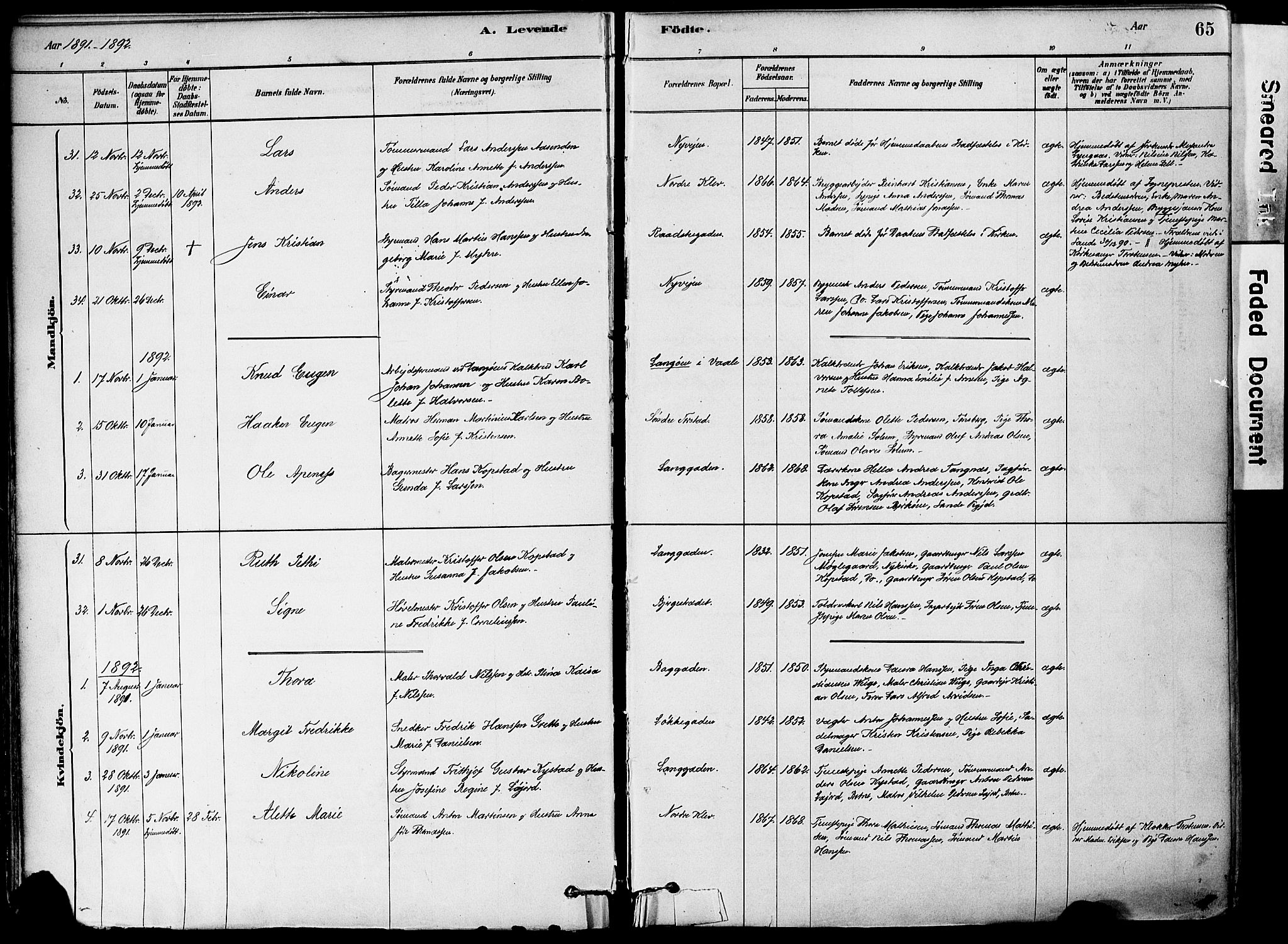 Holmestrand kirkebøker, AV/SAKO-A-346/F/Fa/L0004: Parish register (official) no. 4, 1880-1901, p. 65