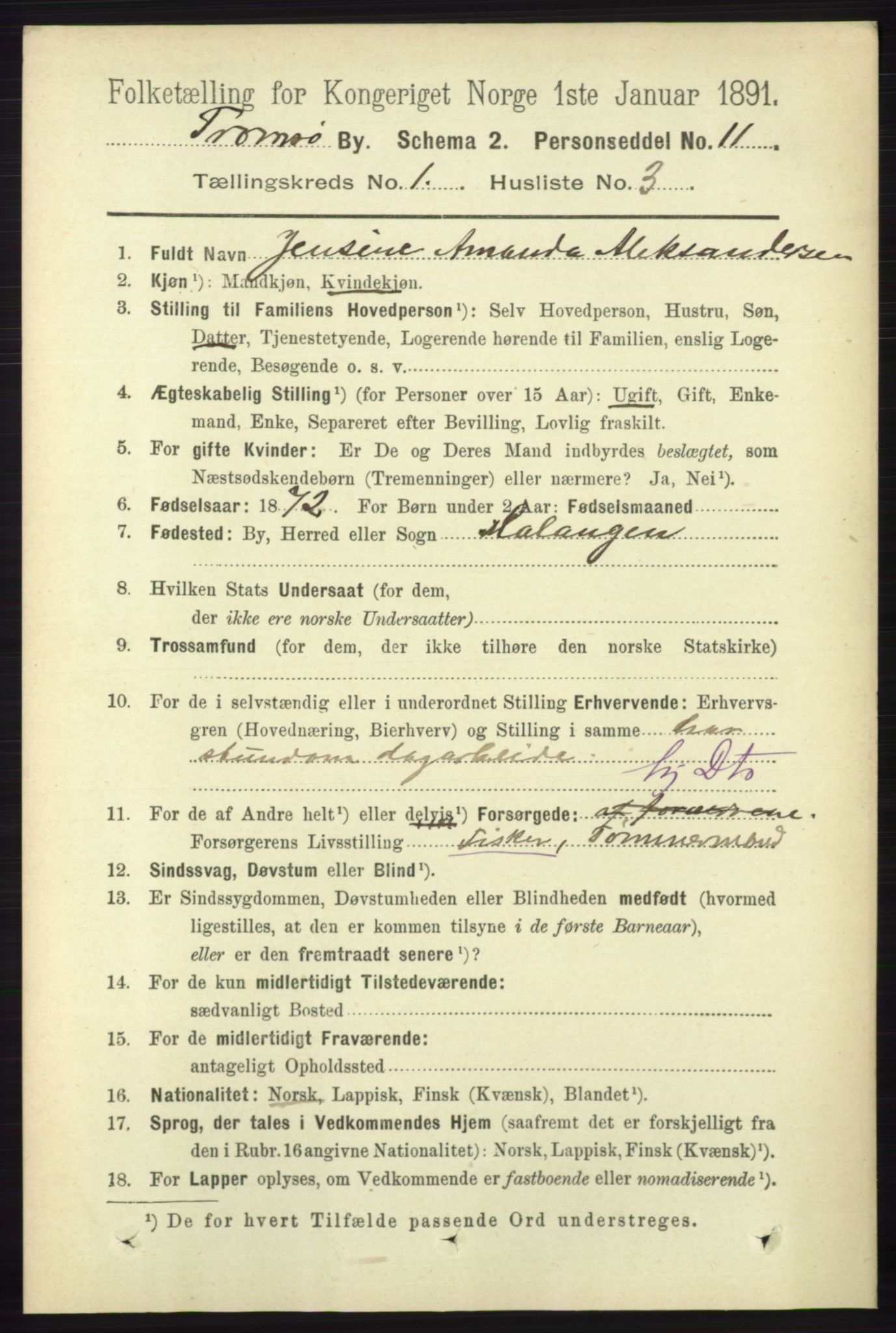 RA, 1891 census for 1902 Tromsø, 1891, p. 310