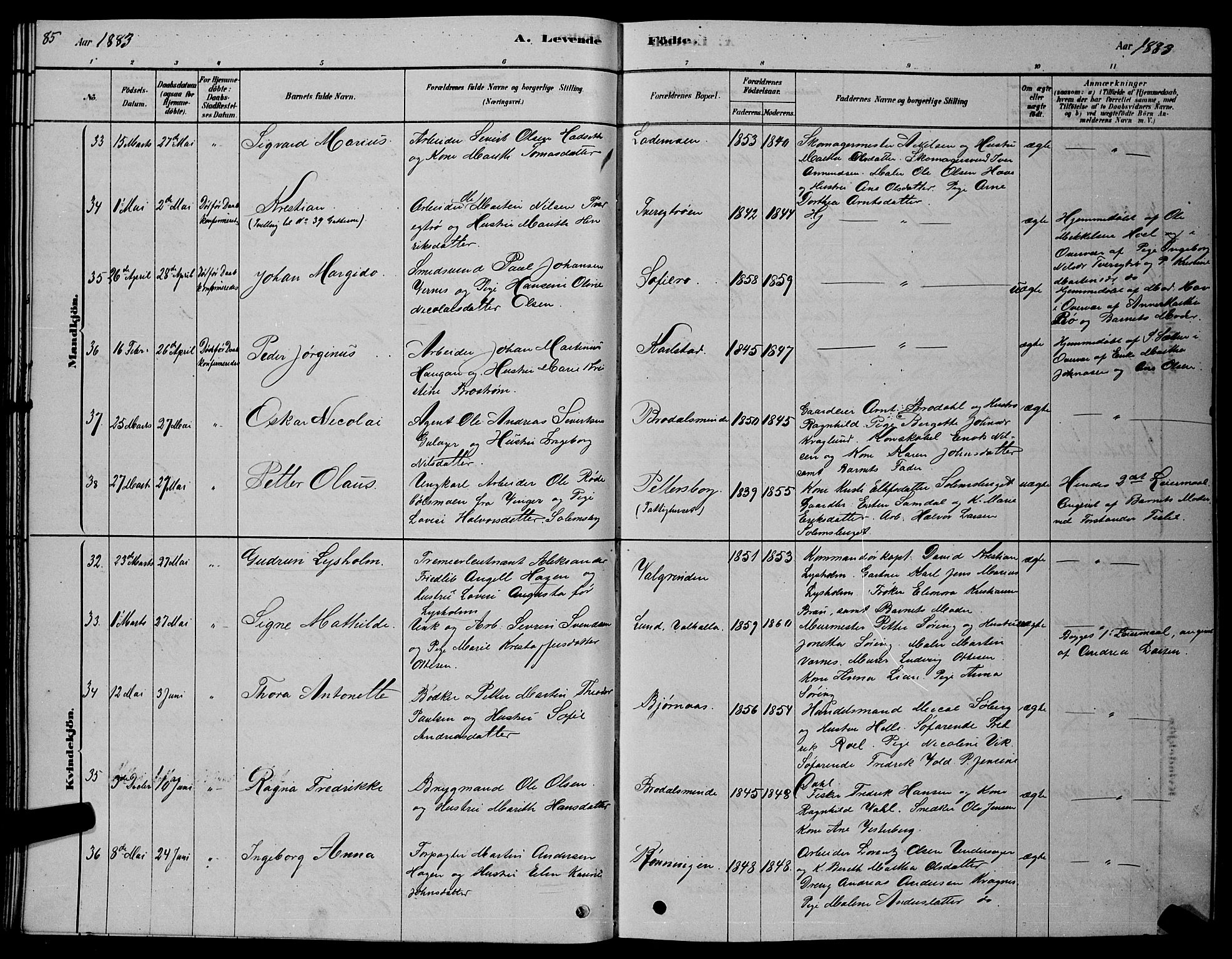 Ministerialprotokoller, klokkerbøker og fødselsregistre - Sør-Trøndelag, AV/SAT-A-1456/606/L0312: Parish register (copy) no. 606C08, 1878-1894, p. 85