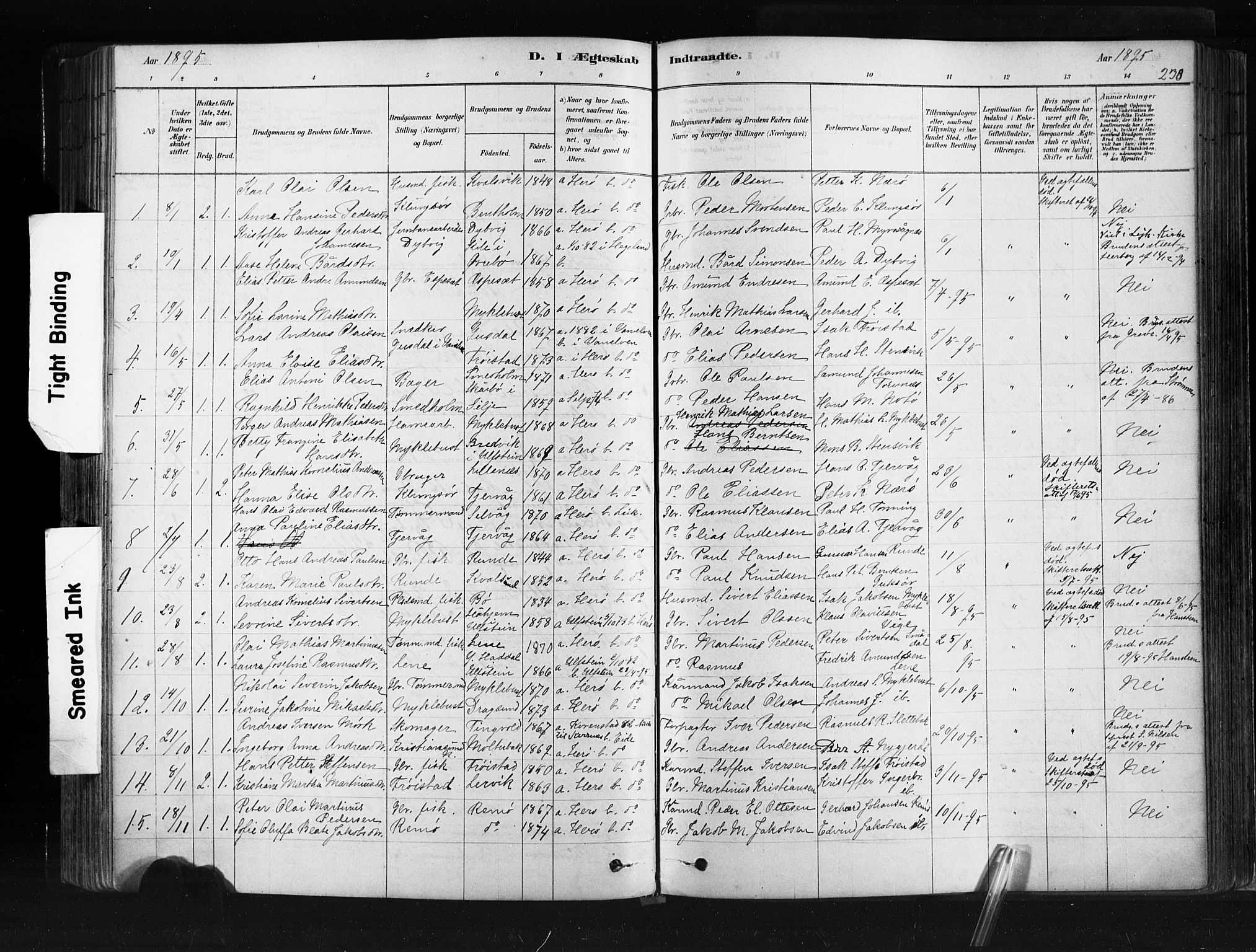 Ministerialprotokoller, klokkerbøker og fødselsregistre - Møre og Romsdal, AV/SAT-A-1454/507/L0073: Parish register (official) no. 507A08, 1878-1904, p. 238