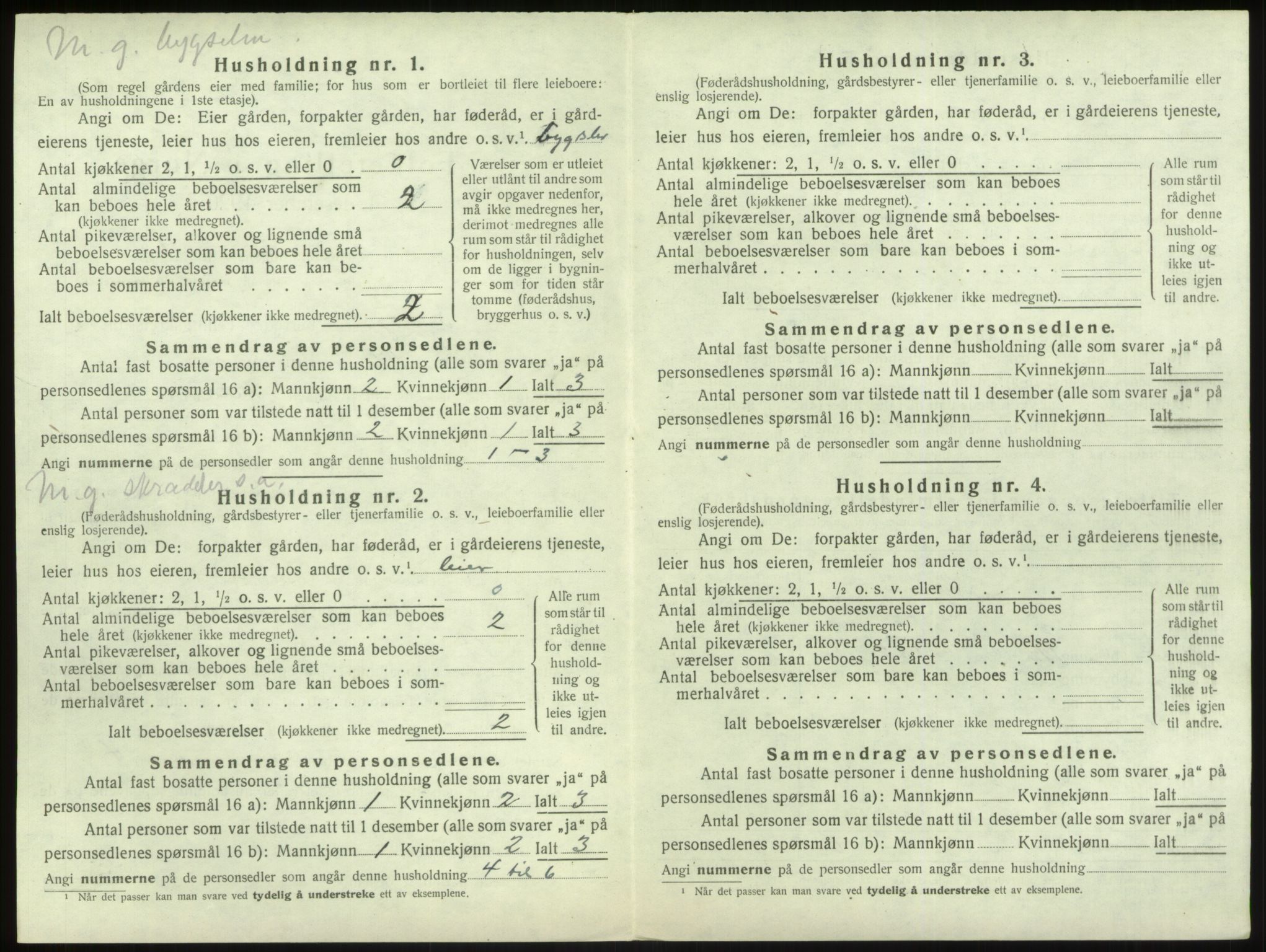 SAB, 1920 census for Vik, 1920, p. 1163