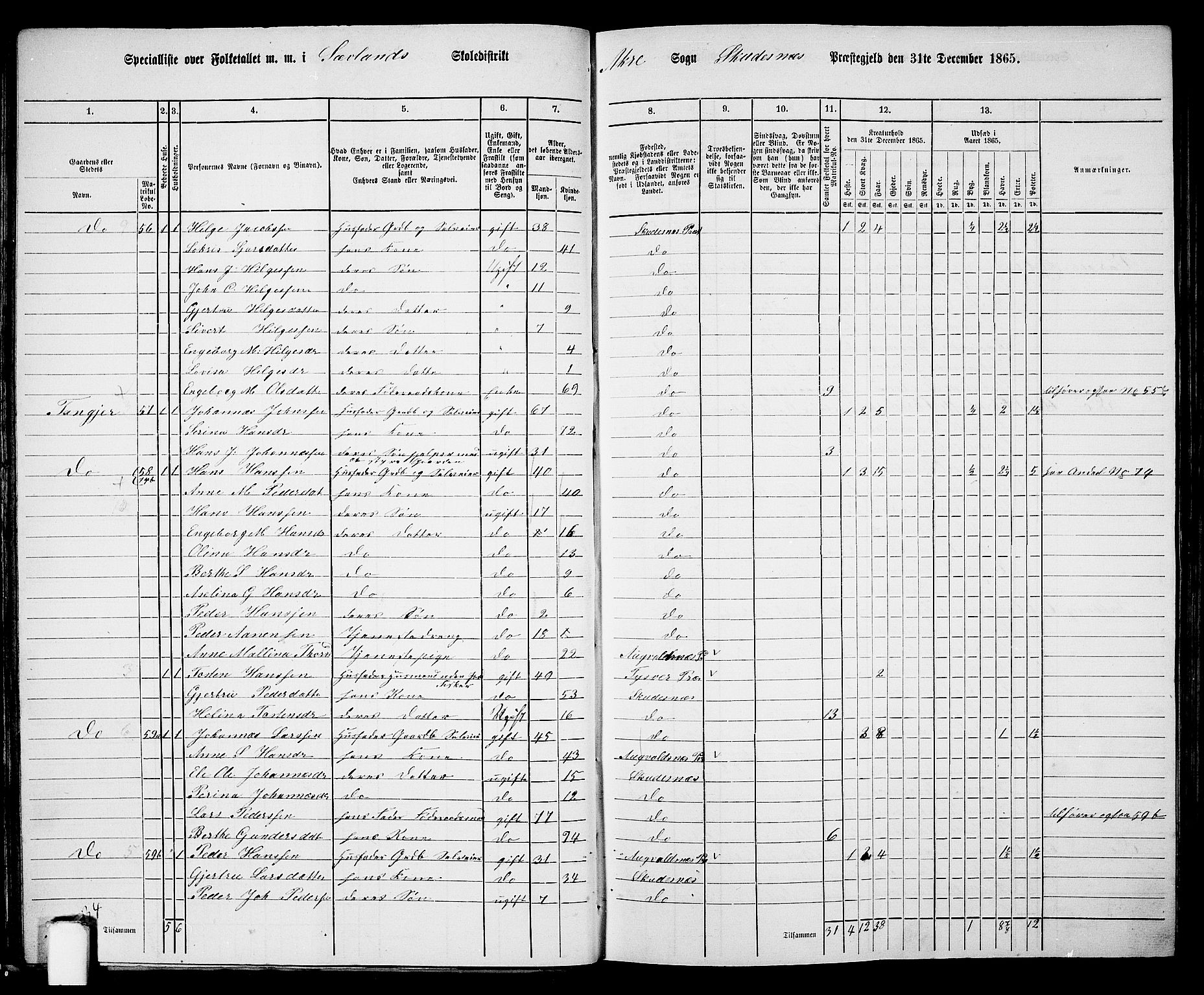 RA, 1865 census for Skudenes, 1865, p. 35