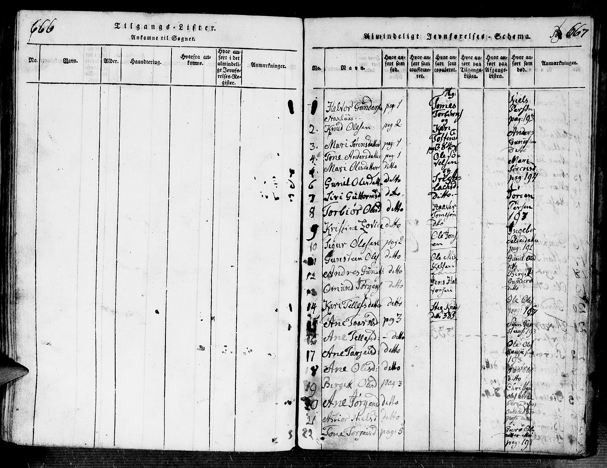 Bygland sokneprestkontor, SAK/1111-0006/F/Fa/Fab/L0003: Parish register (official) no. A 3, 1816-1841, p. 666-667