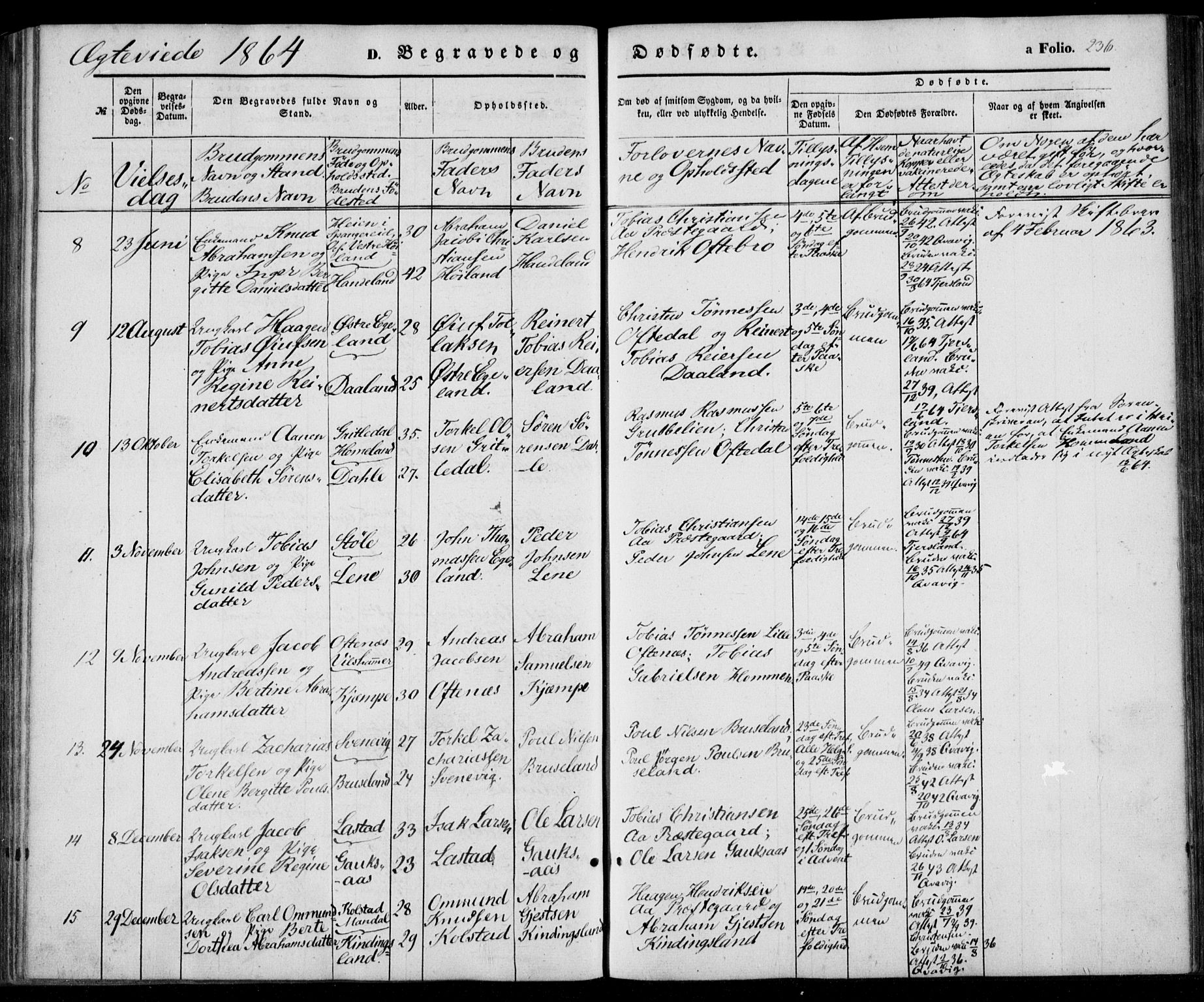 Lyngdal sokneprestkontor, AV/SAK-1111-0029/F/Fa/Fac/L0009: Parish register (official) no. A 9, 1852-1864, p. 236