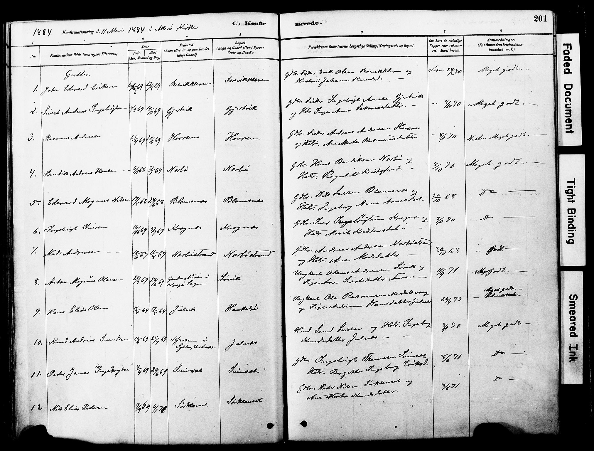 Ministerialprotokoller, klokkerbøker og fødselsregistre - Møre og Romsdal, SAT/A-1454/560/L0721: Parish register (official) no. 560A05, 1878-1917, p. 201