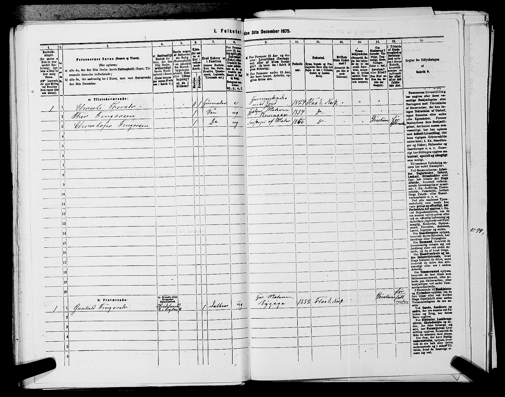 SAKO, 1875 census for 0616P Nes, 1875, p. 1316