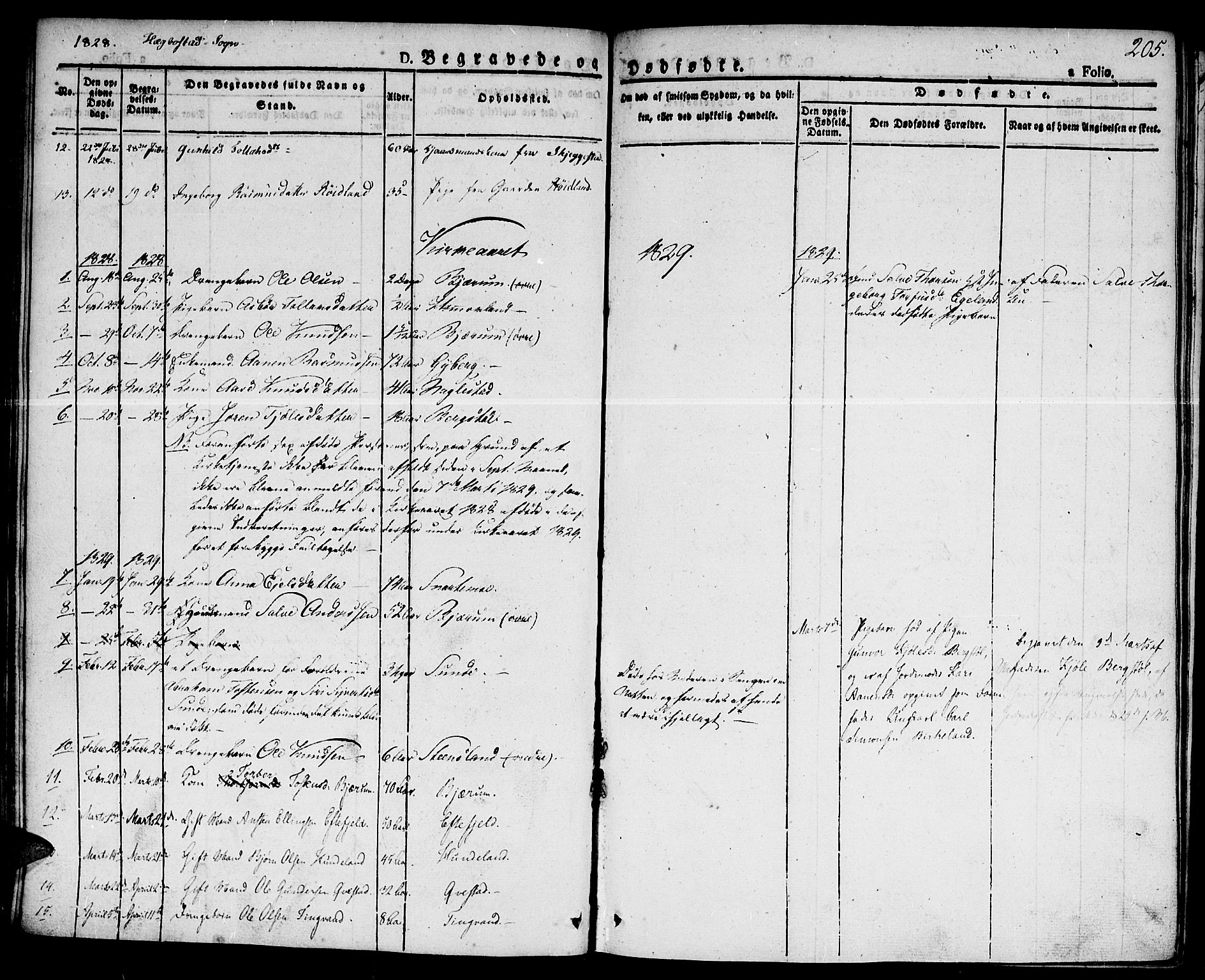 Hægebostad sokneprestkontor, AV/SAK-1111-0024/F/Fa/Faa/L0003: Parish register (official) no. A 3 /1, 1825-1834, p. 205