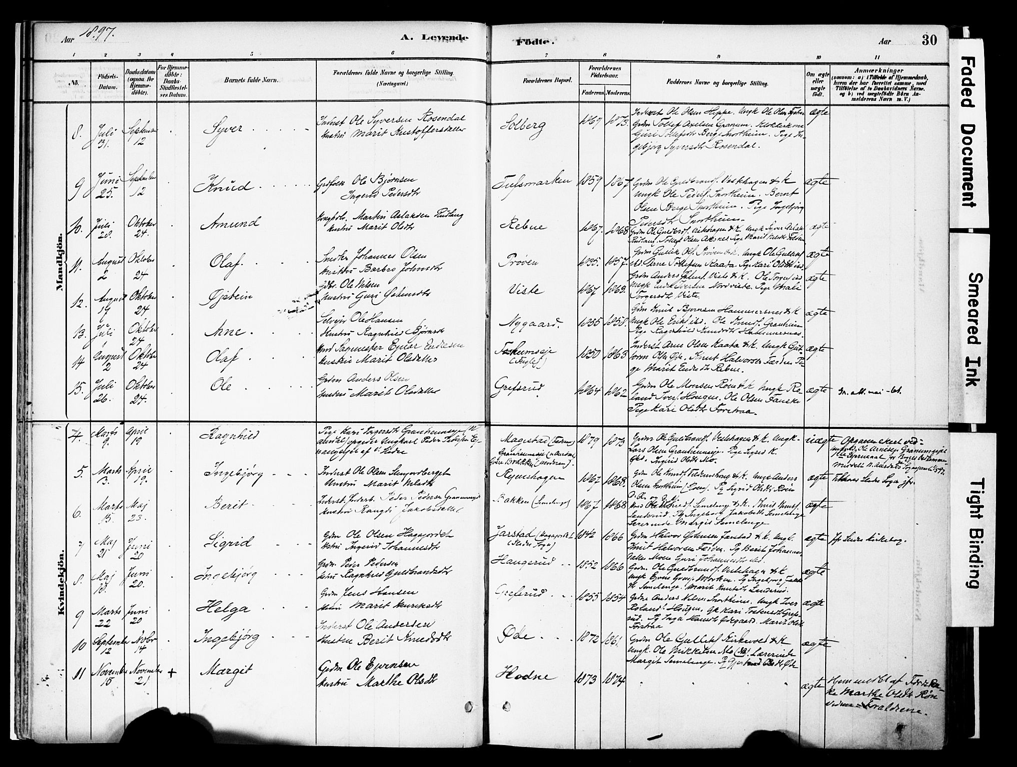 Vestre Slidre prestekontor, SAH/PREST-136/H/Ha/Haa/L0006: Parish register (official) no. 6, 1881-1912, p. 30