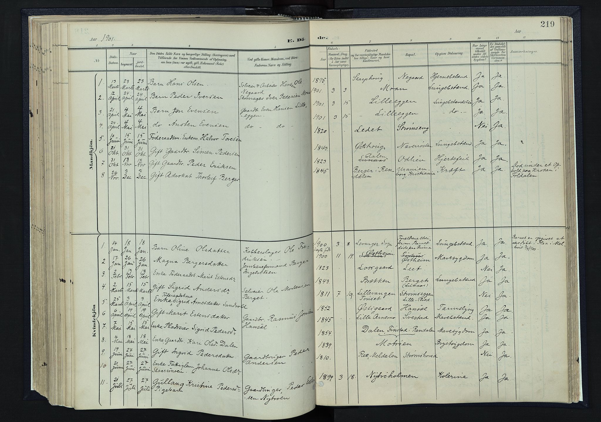 Tynset prestekontor, AV/SAH-PREST-058/H/Ha/Haa/L0025: Parish register (official) no. 25, 1900-1914, p. 219