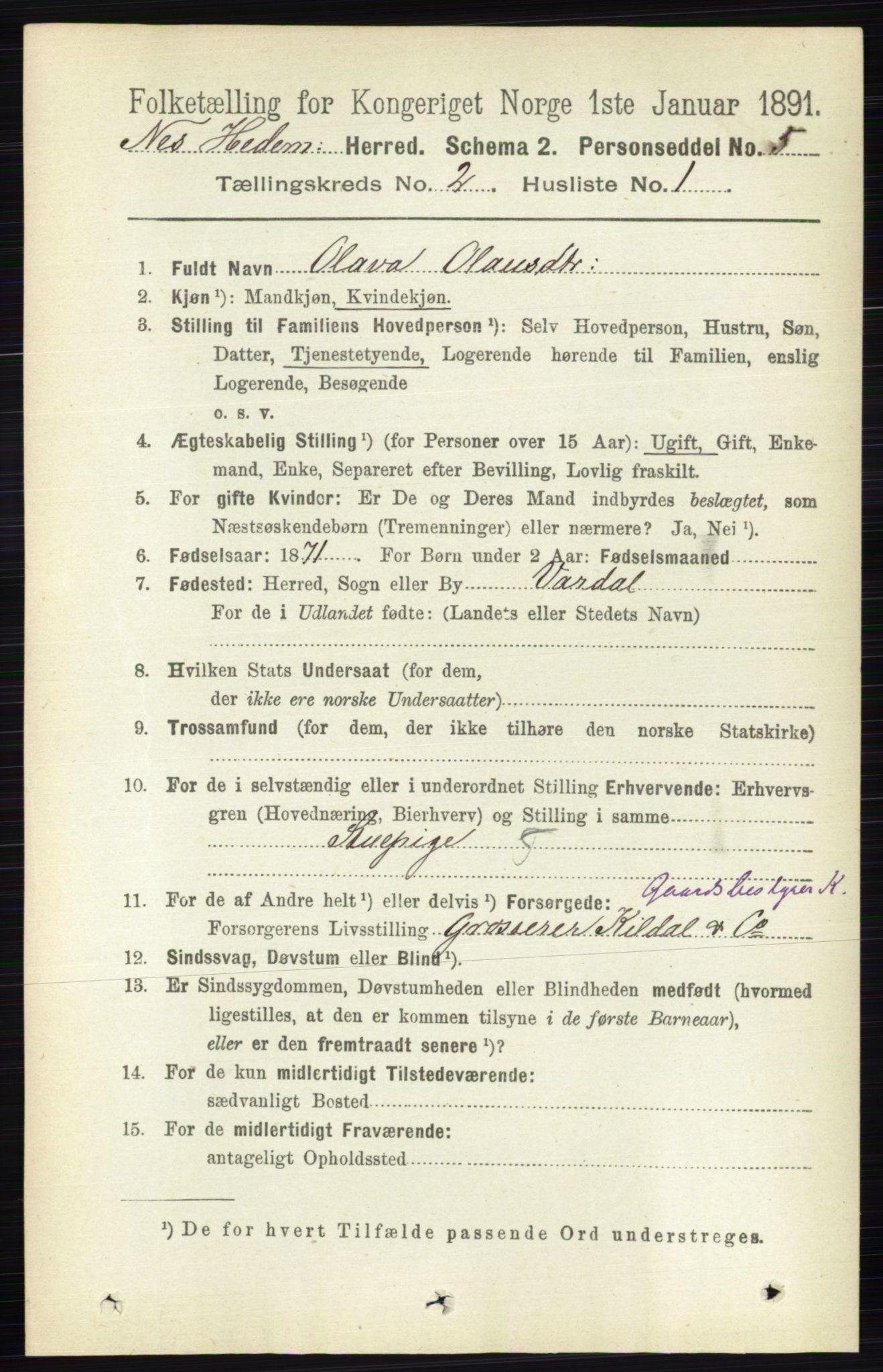 RA, 1891 census for 0411 Nes, 1891, p. 1076