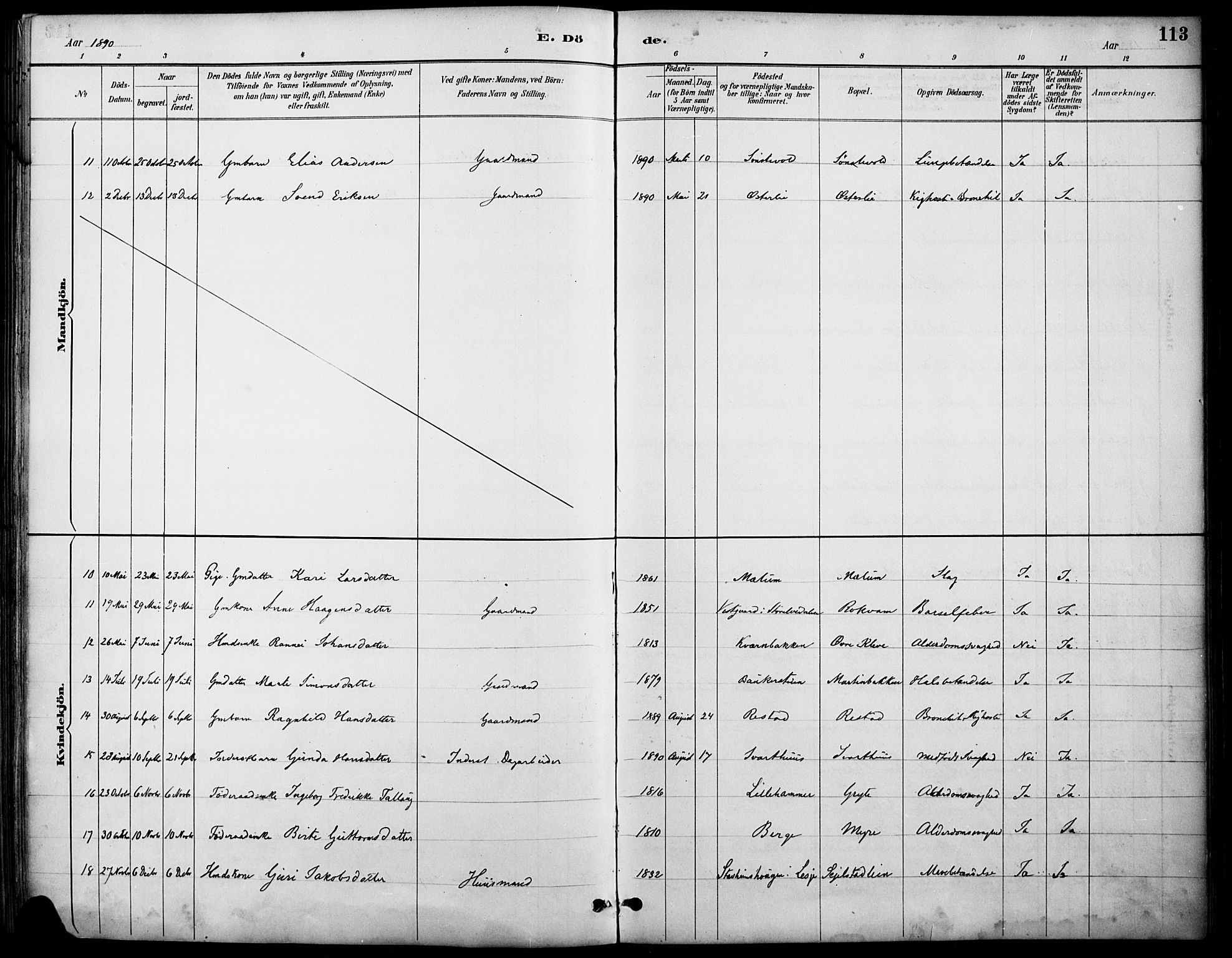 Østre Gausdal prestekontor, SAH/PREST-092/H/Ha/Haa/L0002: Parish register (official) no. 2, 1887-1897, p. 113