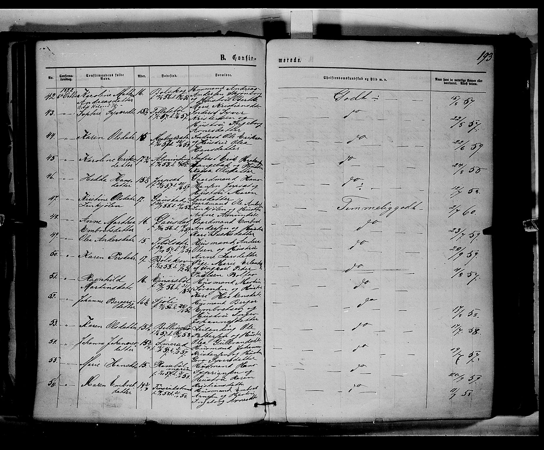 Eidskog prestekontor, AV/SAH-PREST-026/H/Ha/Haa/L0002: Parish register (official) no. 2, 1867-1878, p. 193